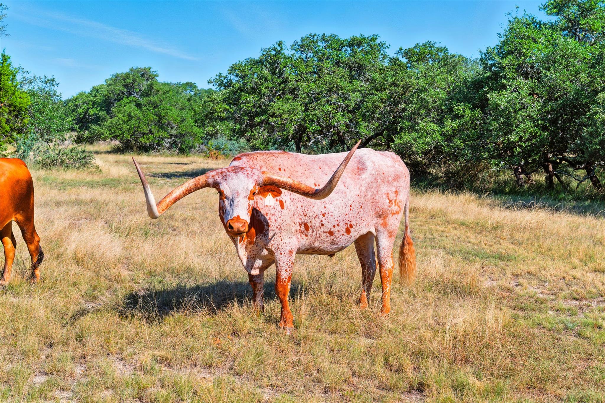 Image 39 of 40 For 753 Sunset Dr