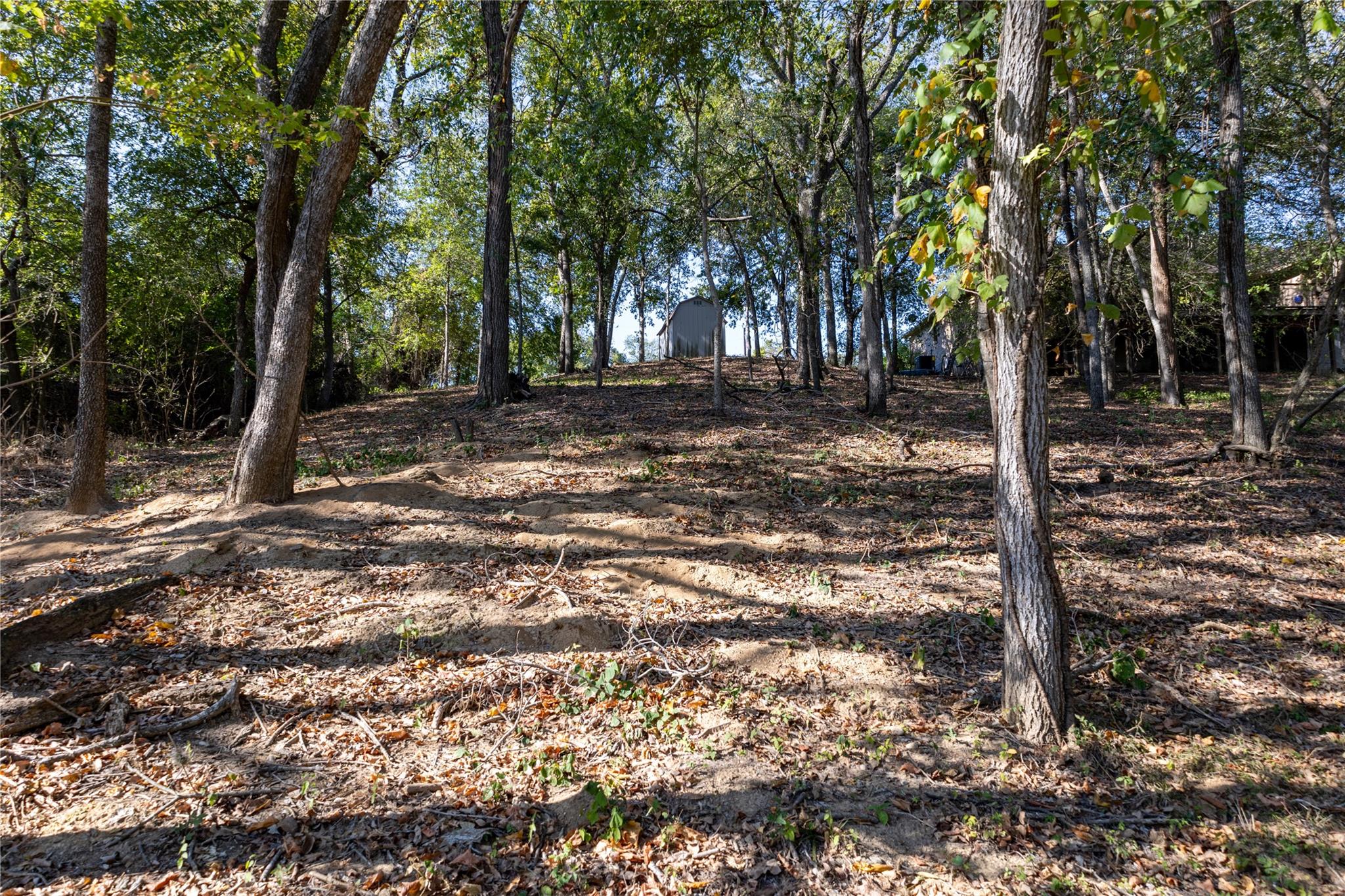 Details for 314 Red Bird Ln, Kingsbury, TX 78638