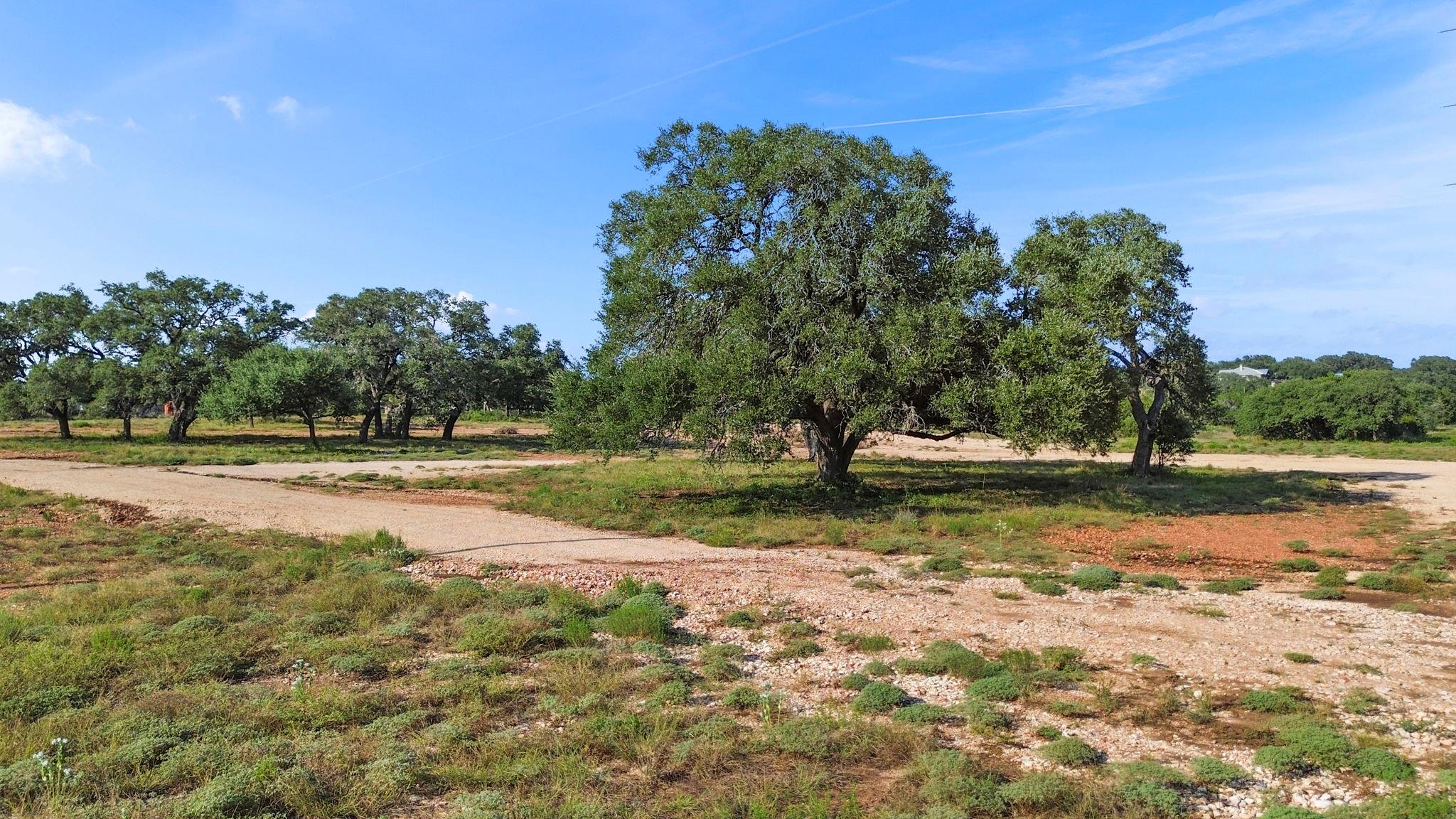 Details for 154 Lone Oak Rd, New Braunfels, TX 78132