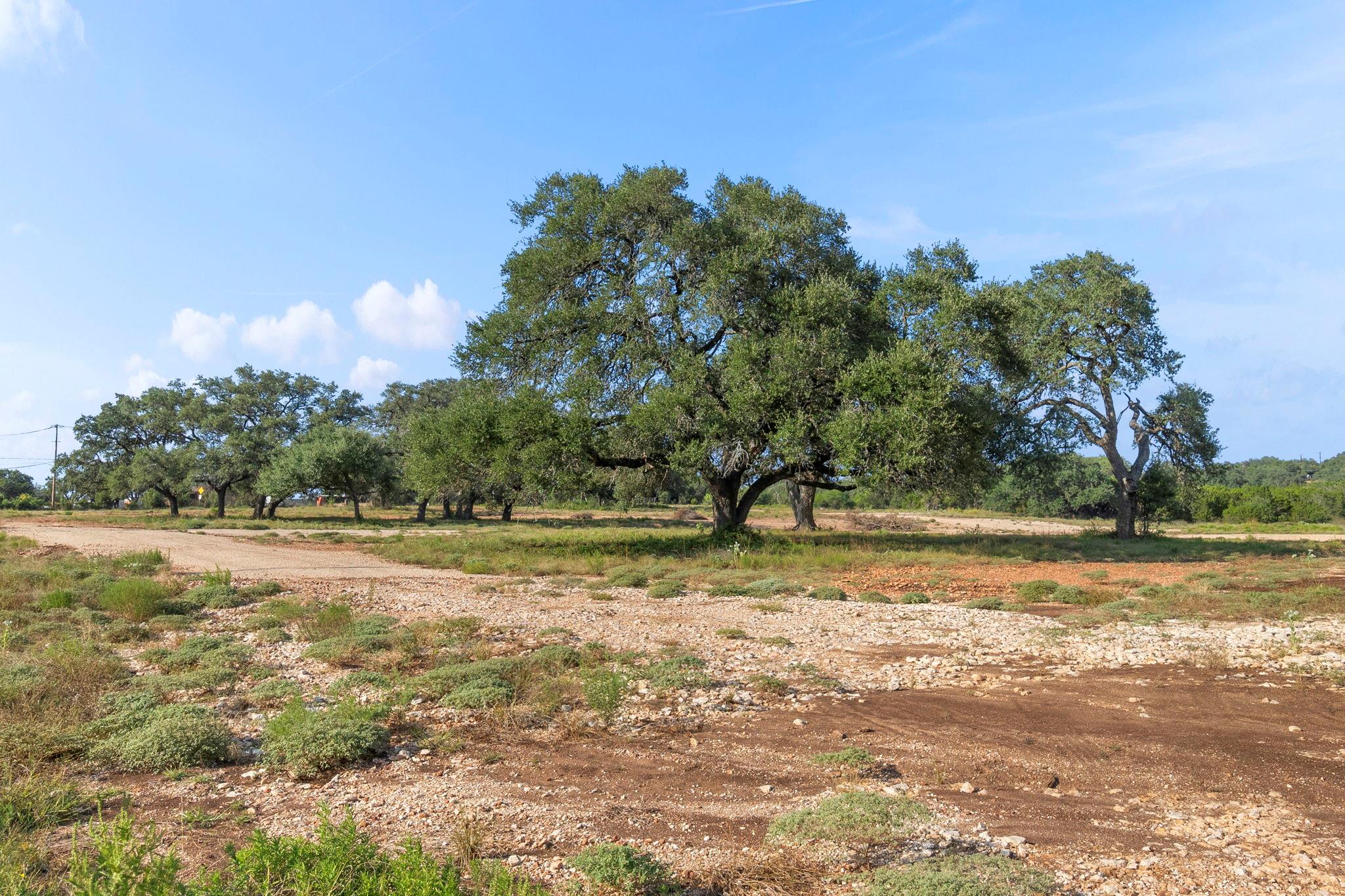 Image 10 of 17 For 154 Lone Oak Rd