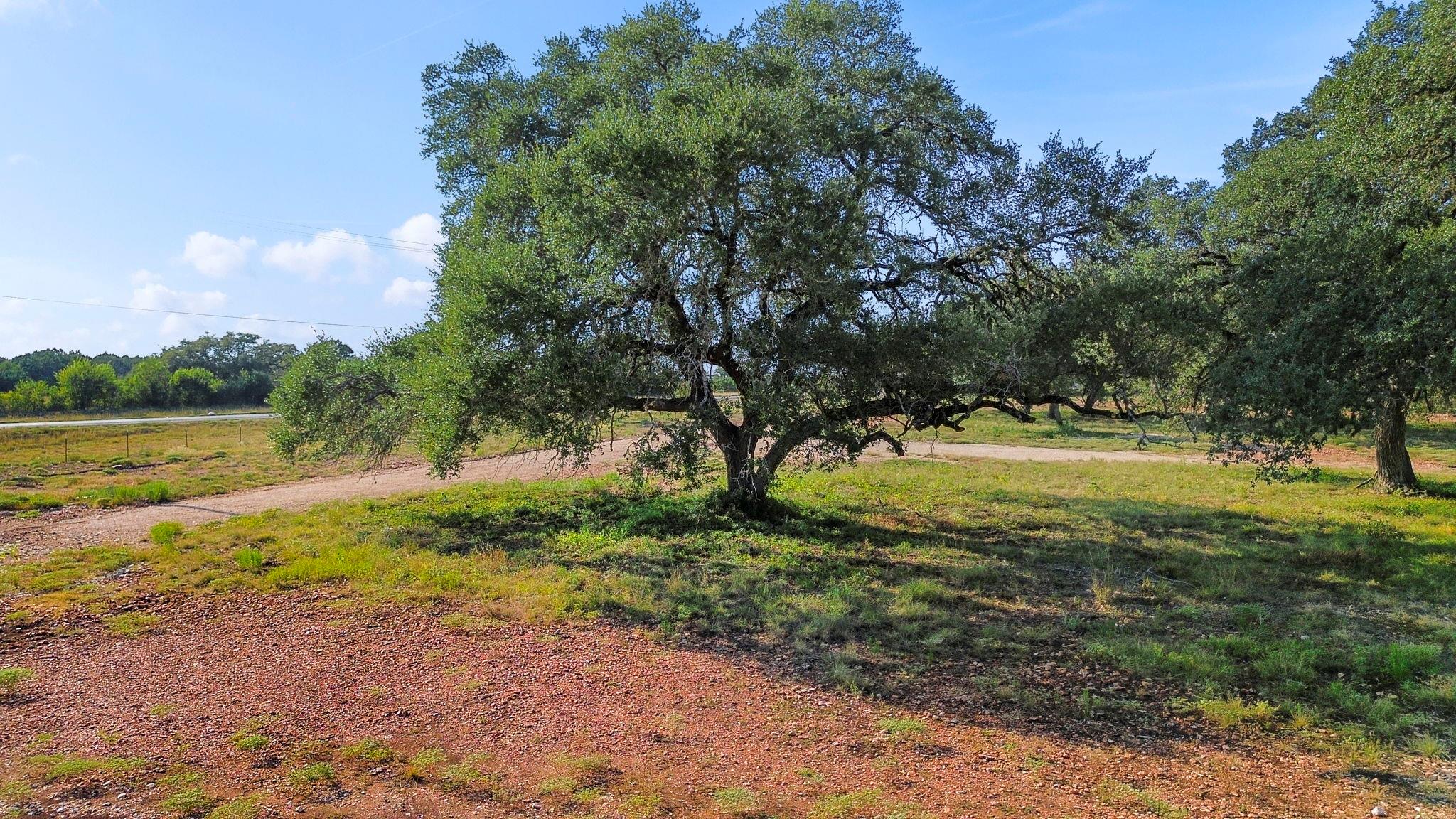 Image 5 of 17 For 154 Lone Oak Rd