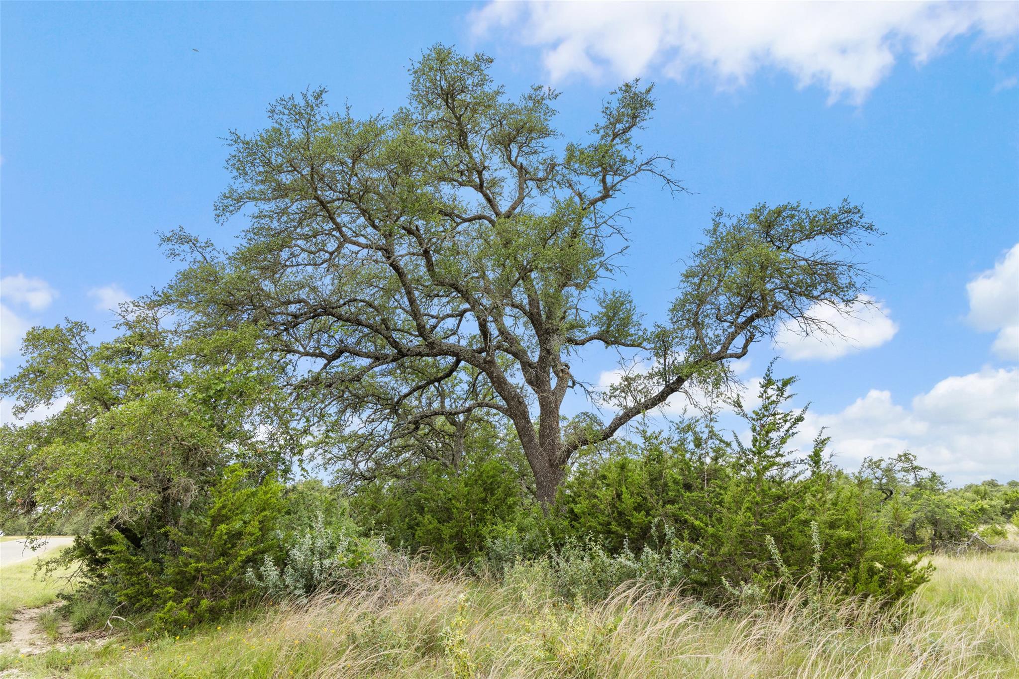 Image 19 of 34 For 1087 (lot 49) Stone Ridge Mountain Dr