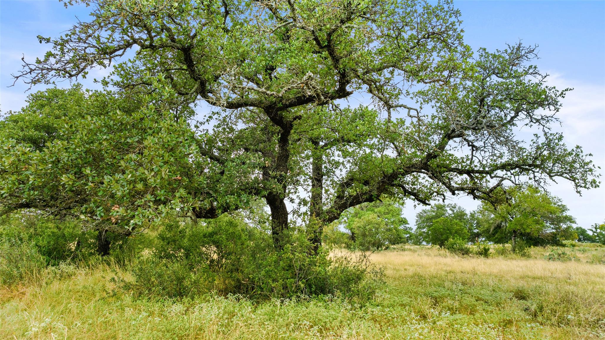 Image 5 of 30 For Lot 37 Vista Ridge Dr