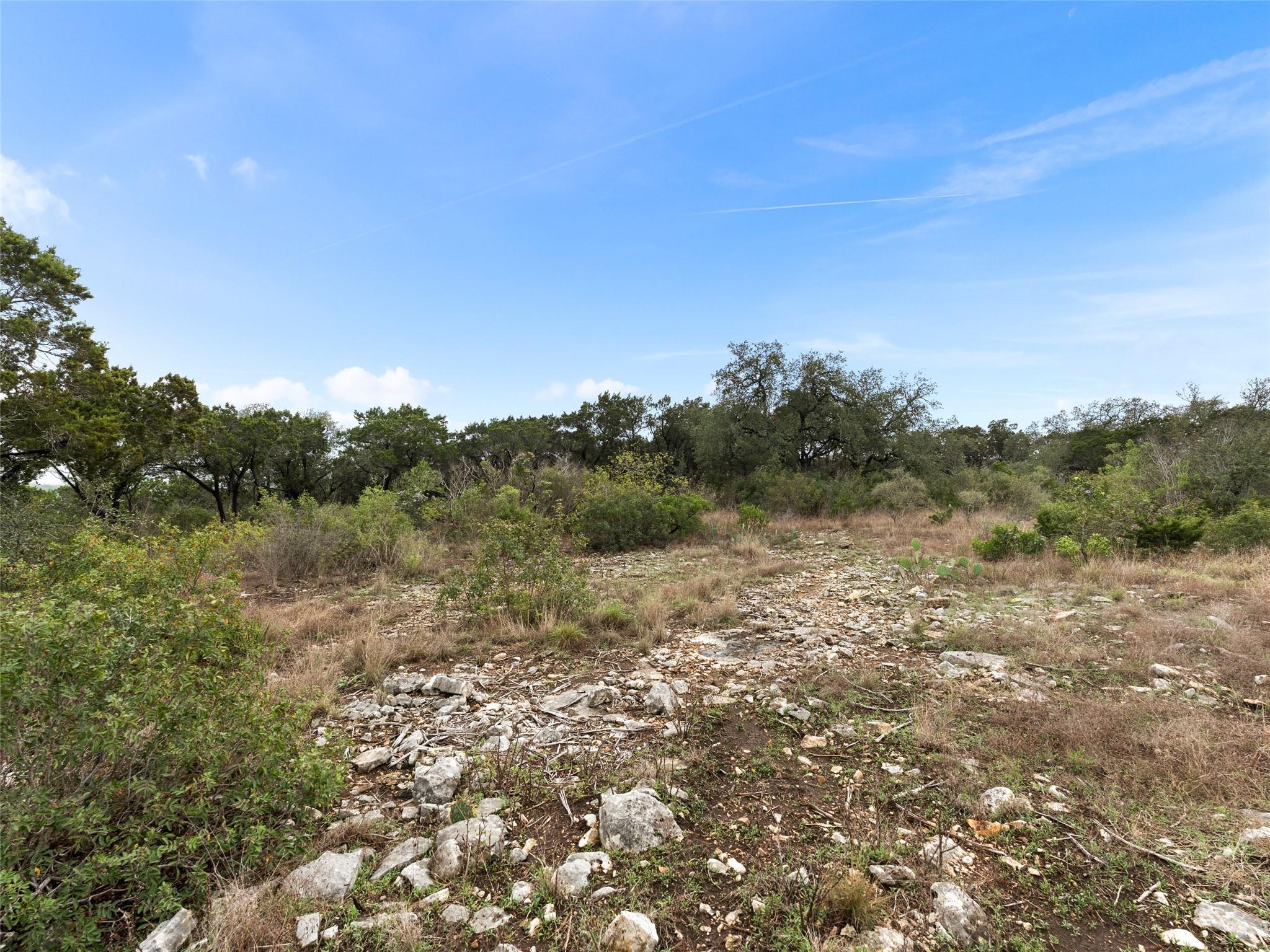 Details for Lot 14, Blk 5 Pr 2777, Mico, TX 78056
