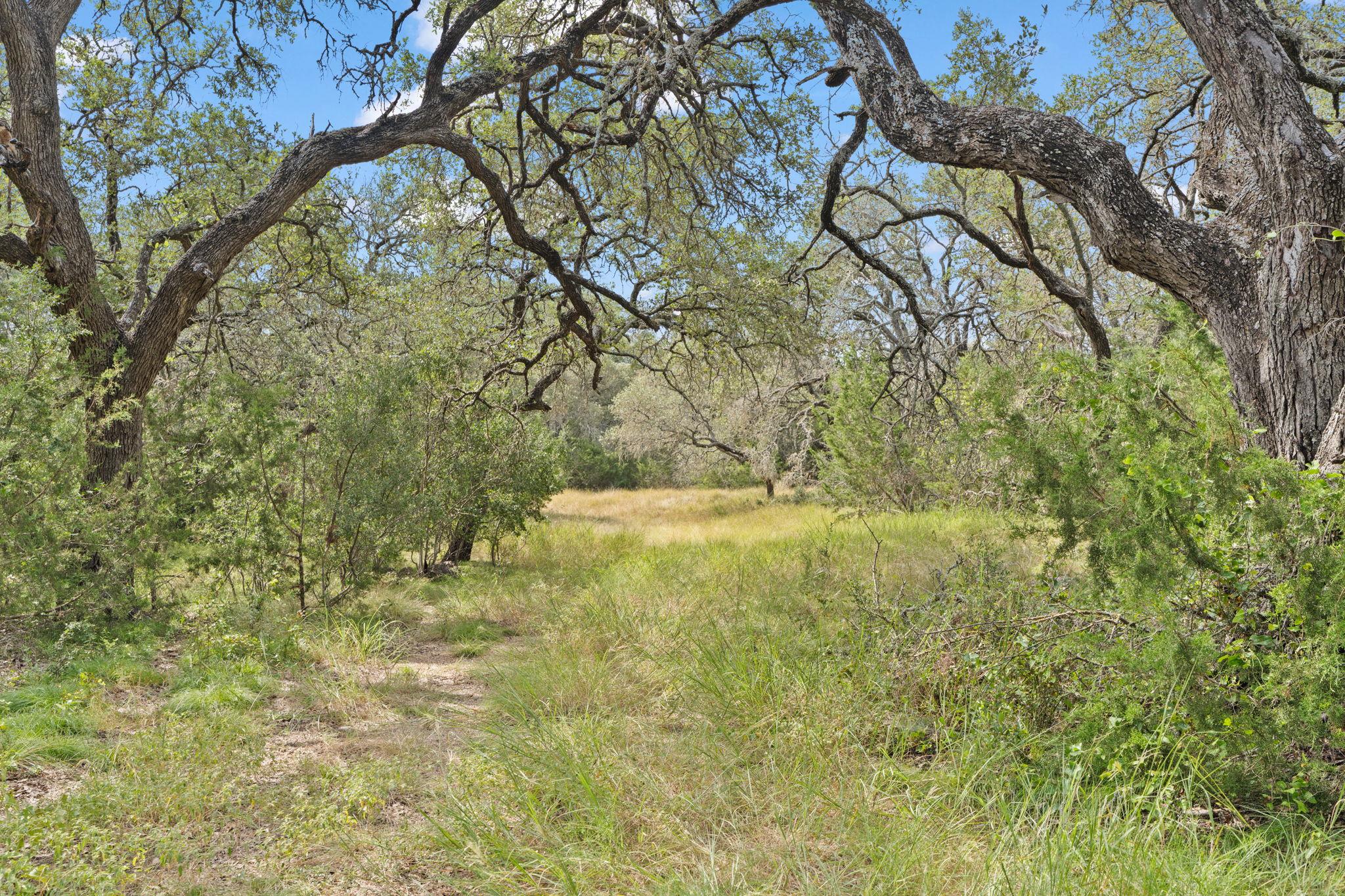 Image 12 of 24 For 1019 Fm 3509