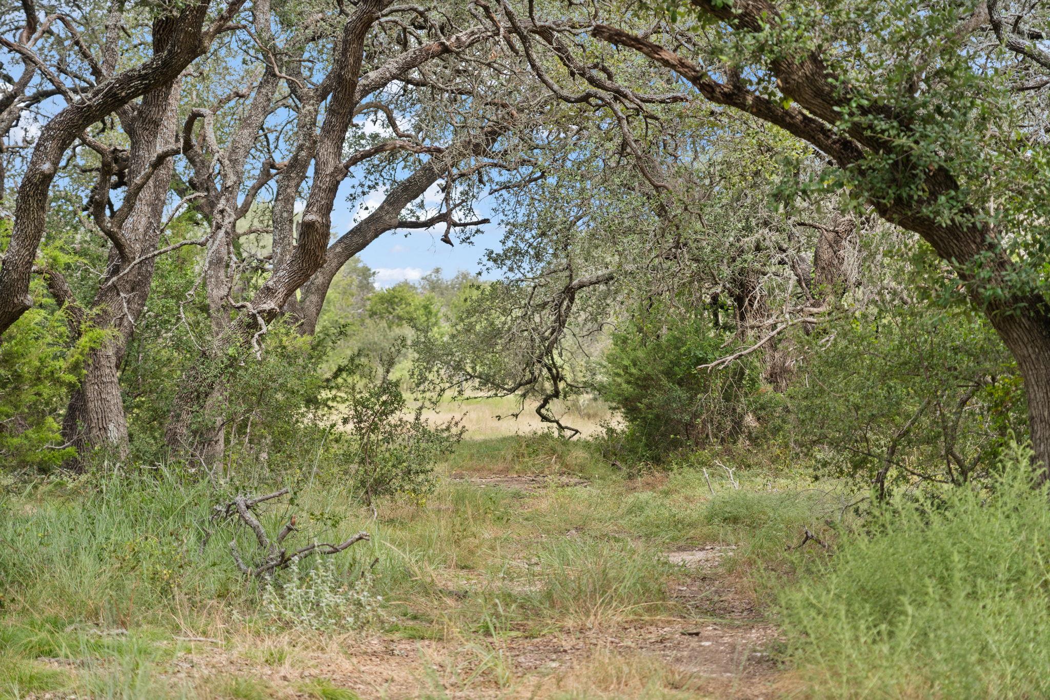 Image 13 of 24 For 1019 Fm 3509