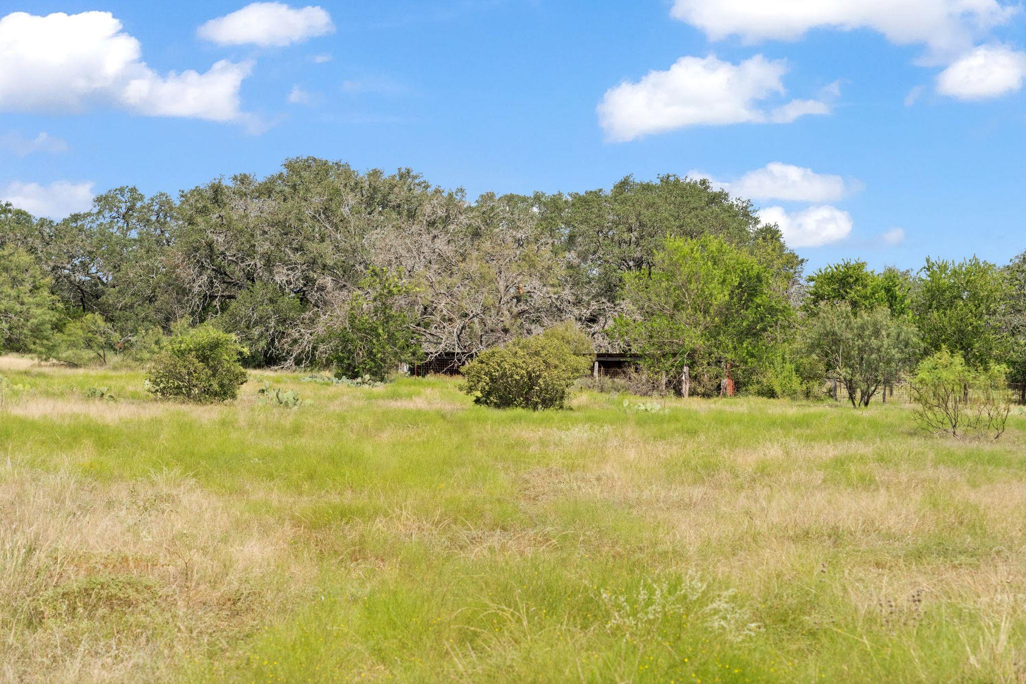 Image 14 of 24 For 1019 Fm 3509