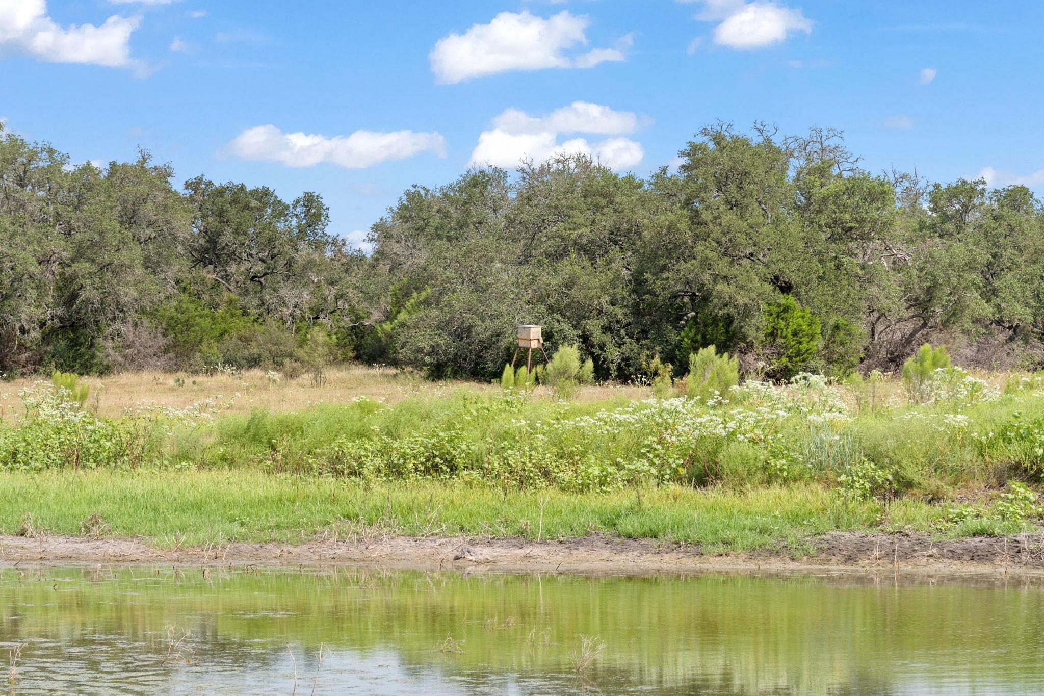 Image 16 of 24 For 1019 Fm 3509