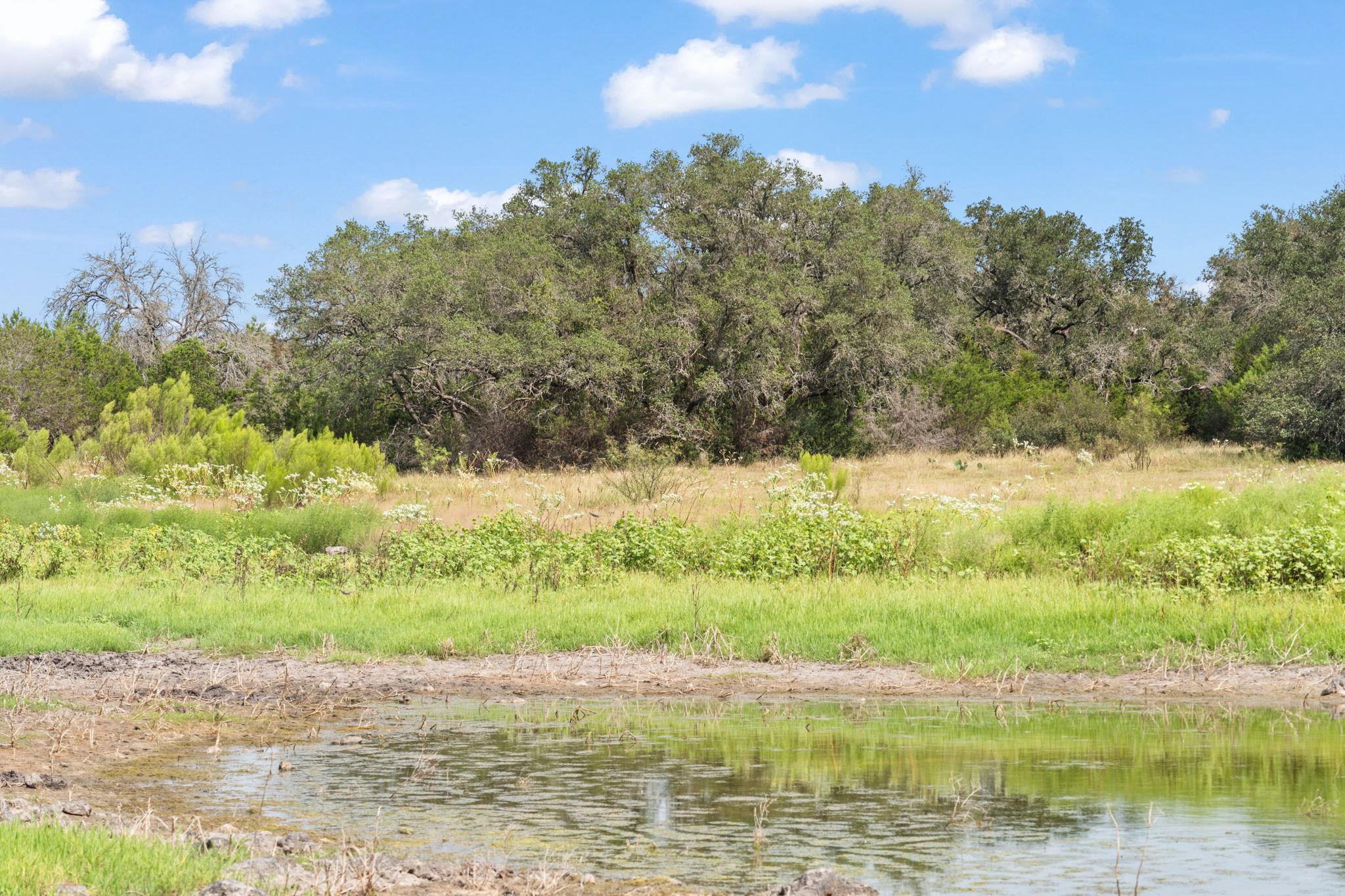 Image 17 of 24 For 1019 Fm 3509