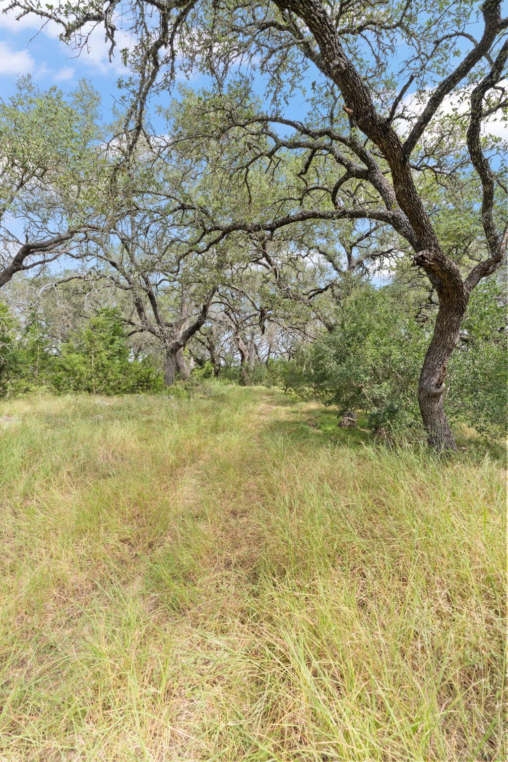 Image 19 of 24 For 1019 Fm 3509