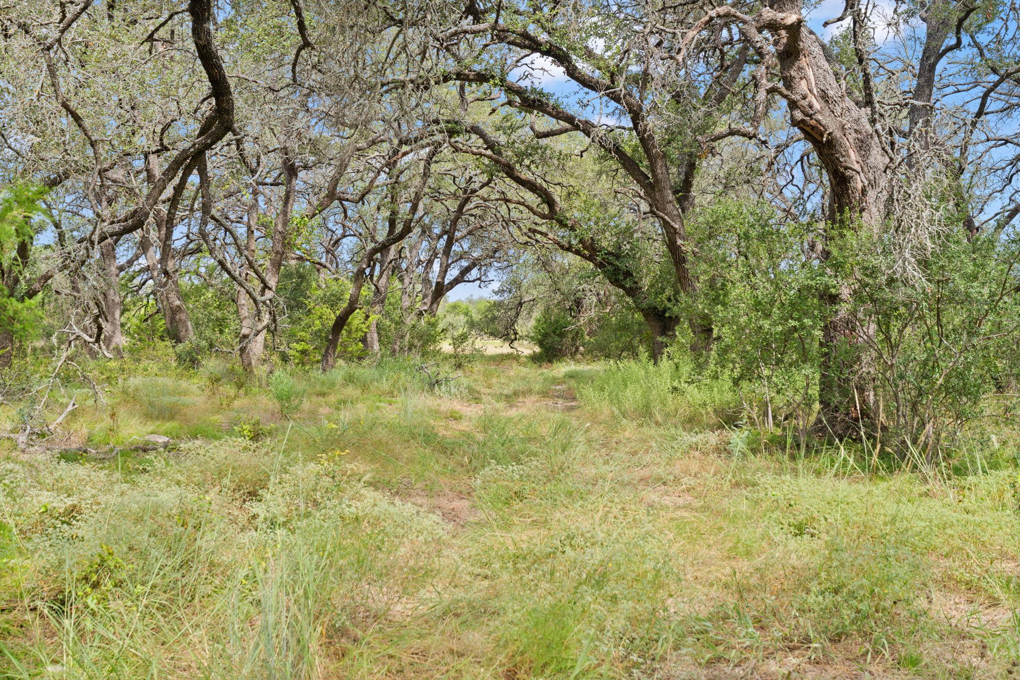 Image 20 of 24 For 1019 Fm 3509