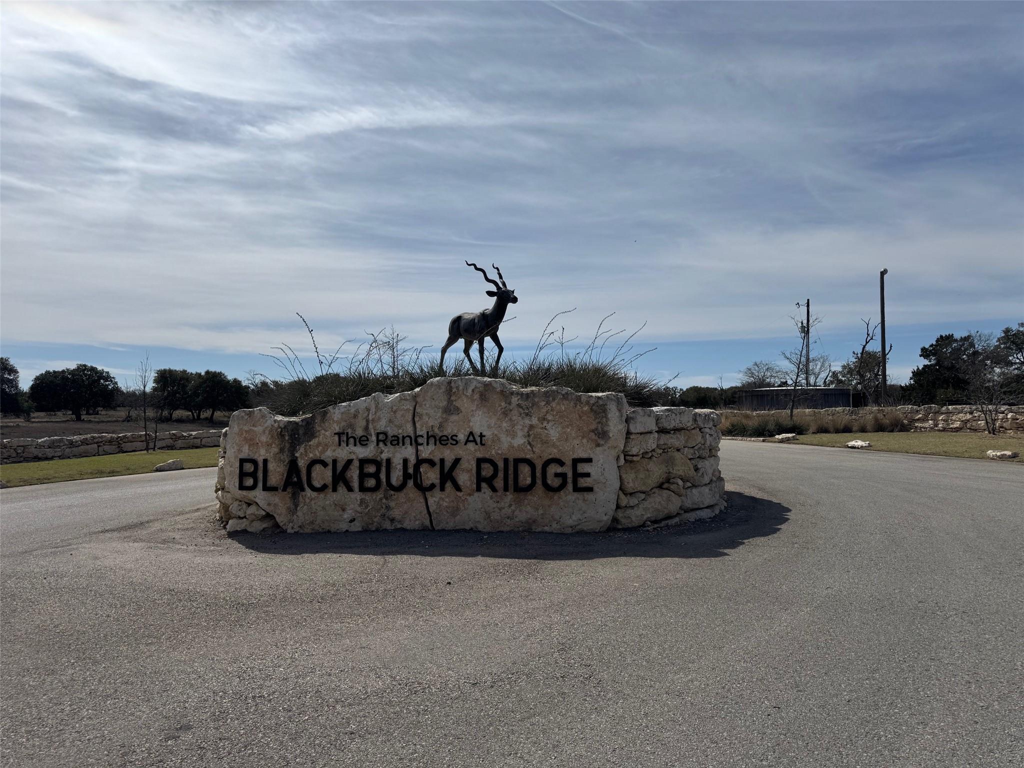 Details for Lot 47 Eland Ln, Lampasas, TX 76550