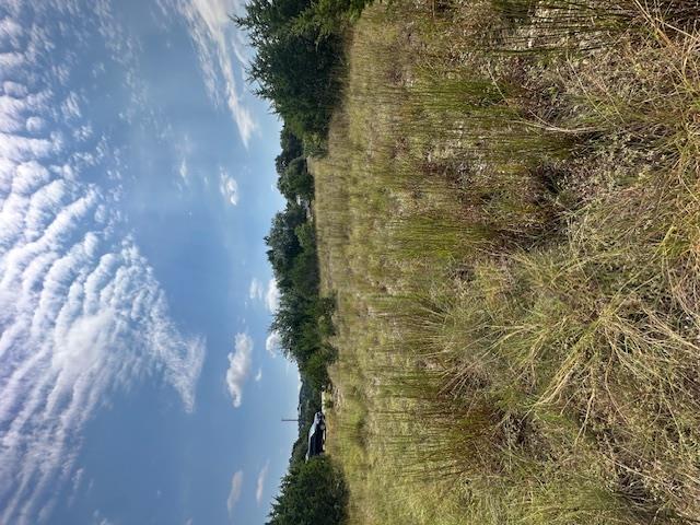 Image 6 of 9 For Tbd Lot 3 Royal Eagle Dr