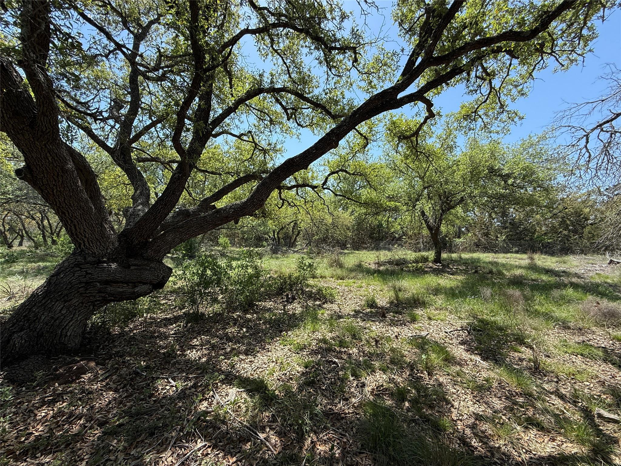 Details for Lot 106 Flying Owl Dr, Johnson City, TX 78636