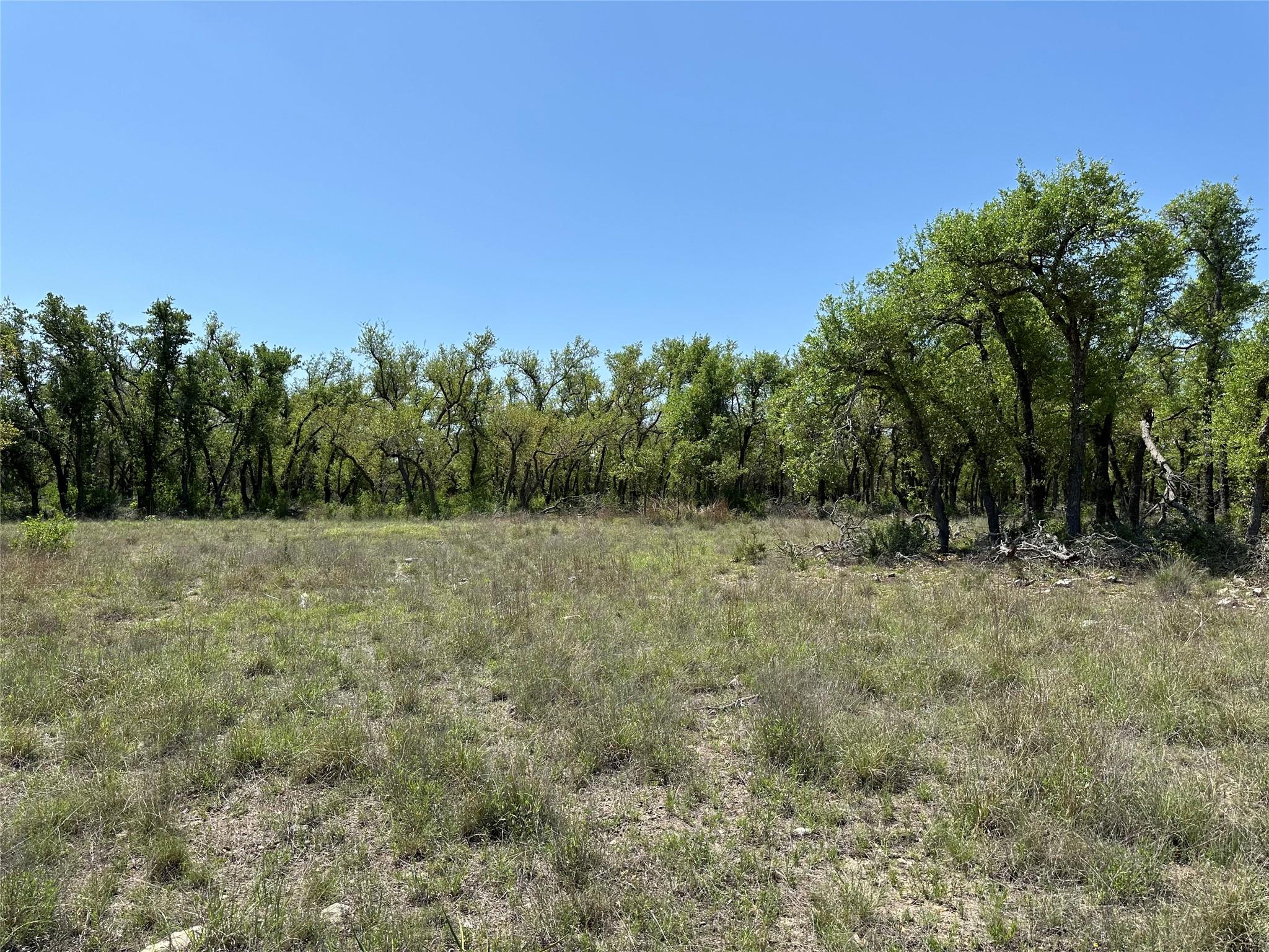 Image 14 of 15 For Lot 106 Flying Owl Dr