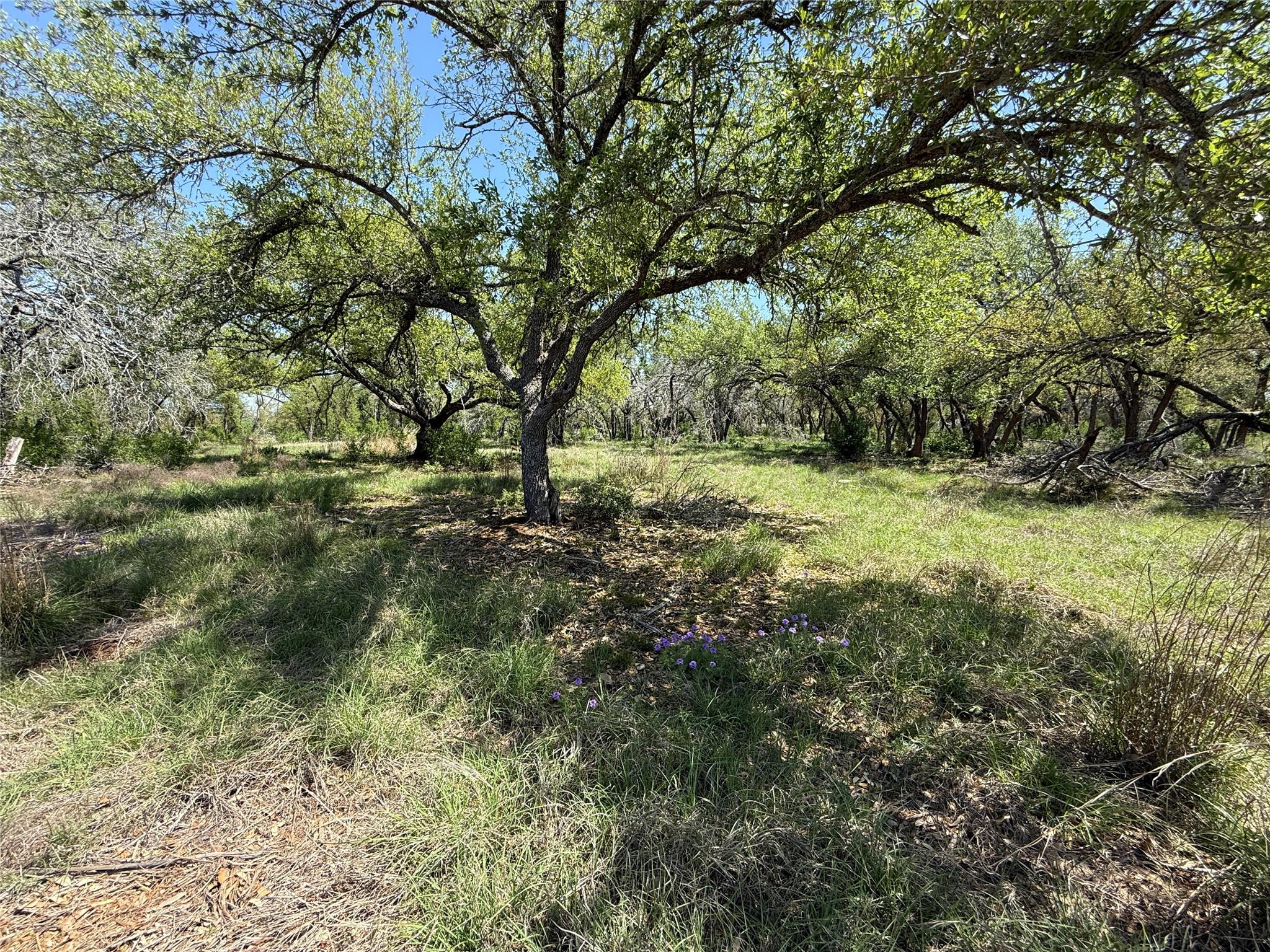 Image 2 of 15 For Lot 106 Flying Owl Dr