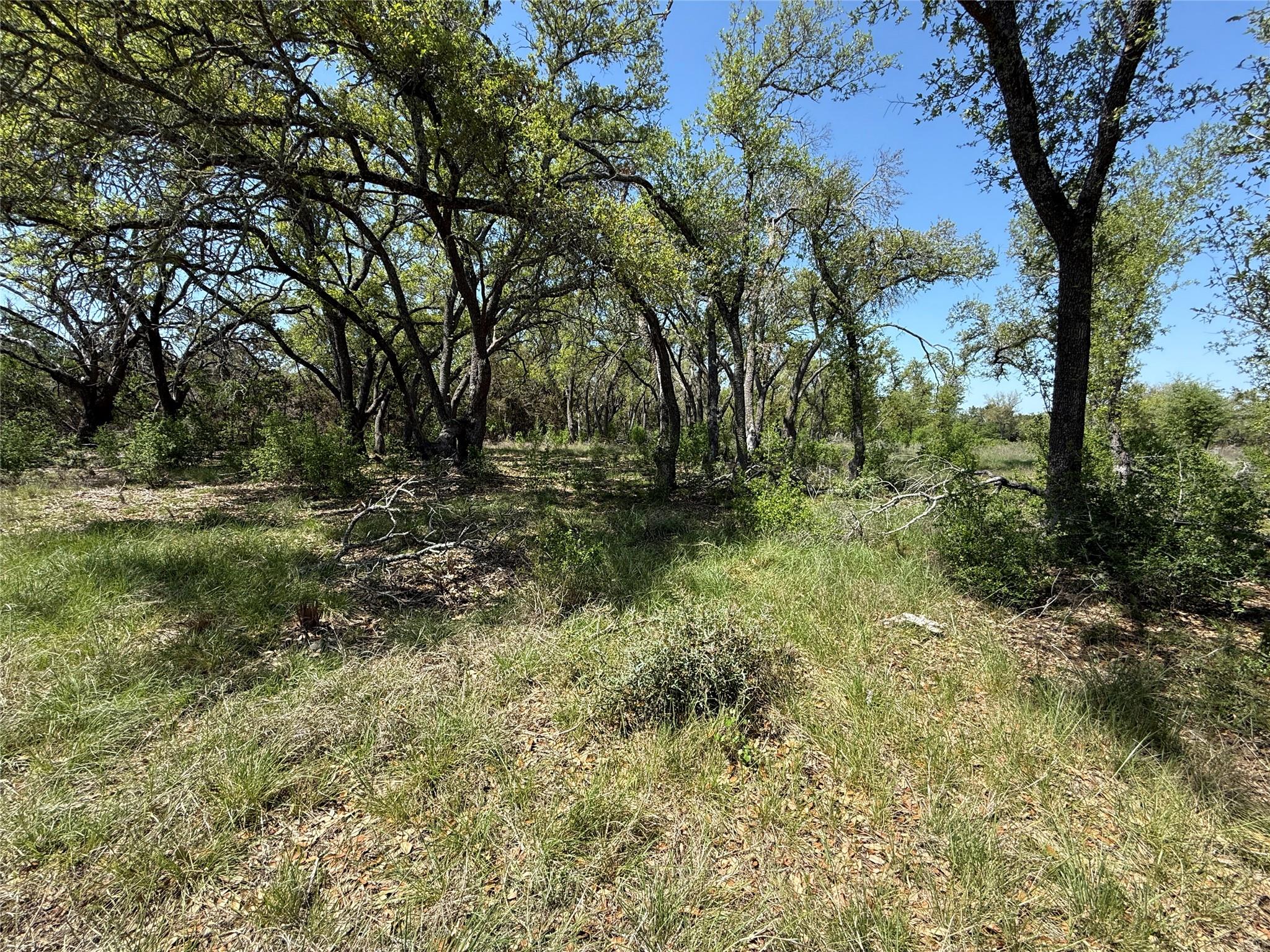 Image 3 of 15 For Lot 106 Flying Owl Dr