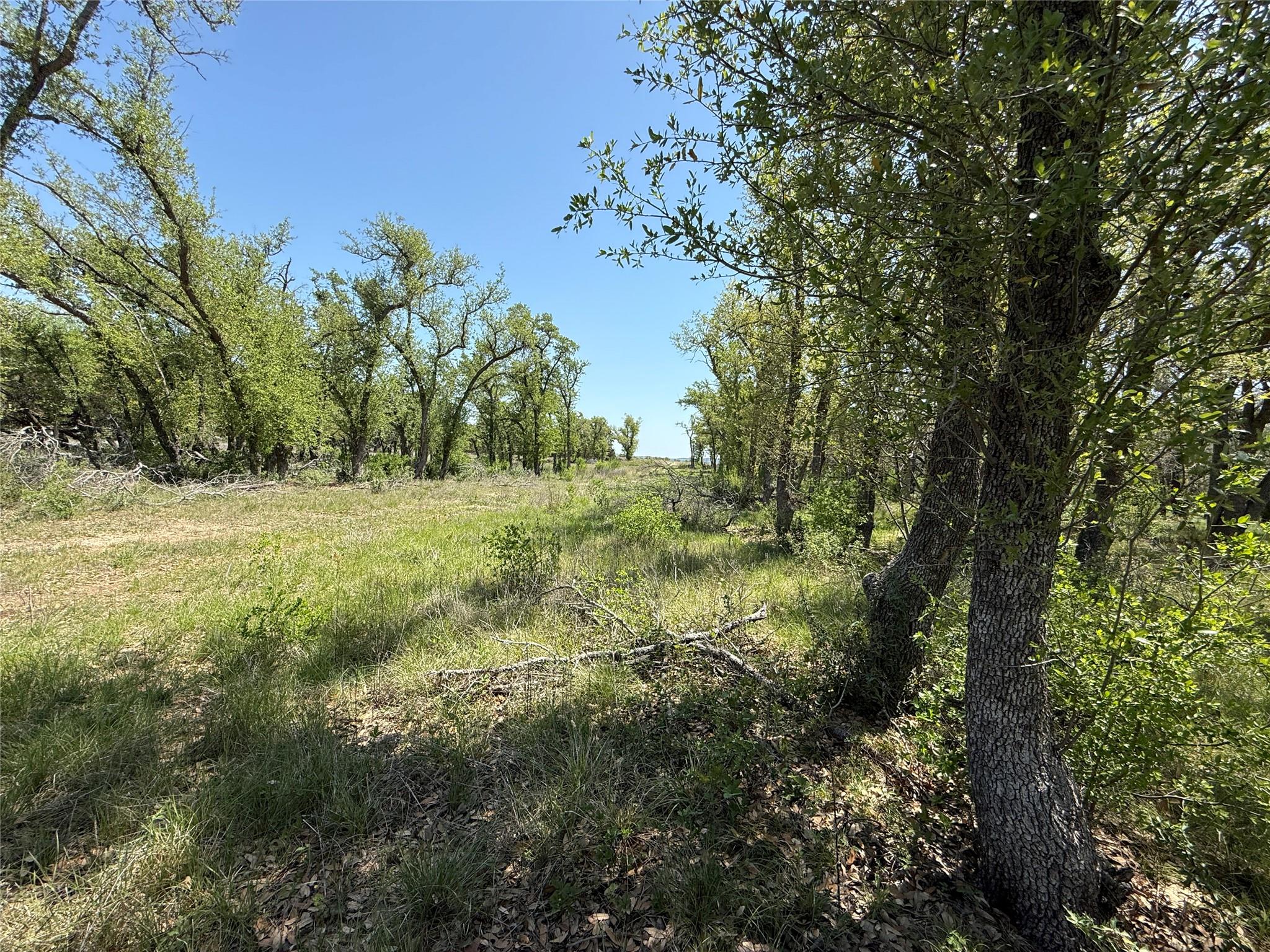 Image 4 of 15 For Lot 106 Flying Owl Dr