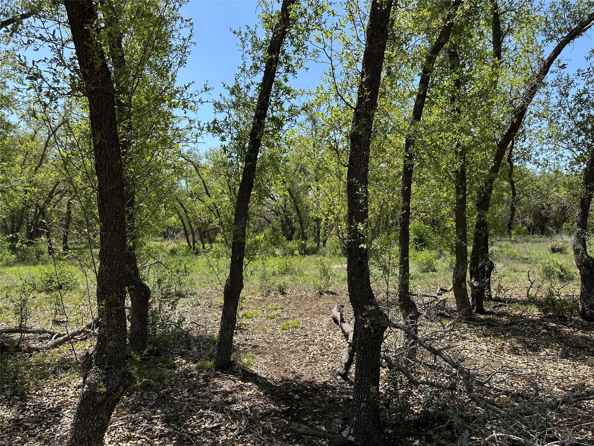 Image 5 of 15 For Lot 106 Flying Owl Dr