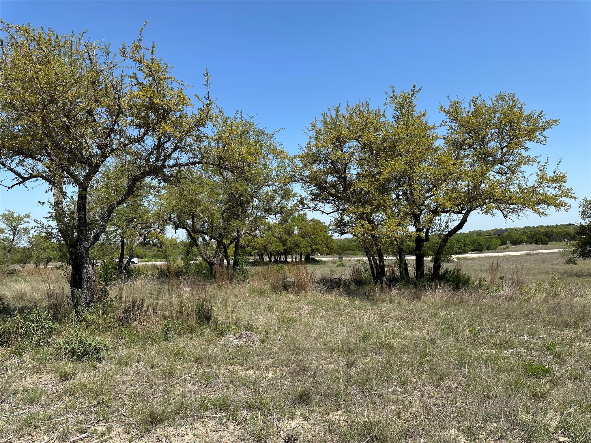 Image 8 of 15 For Lot 106 Flying Owl Dr