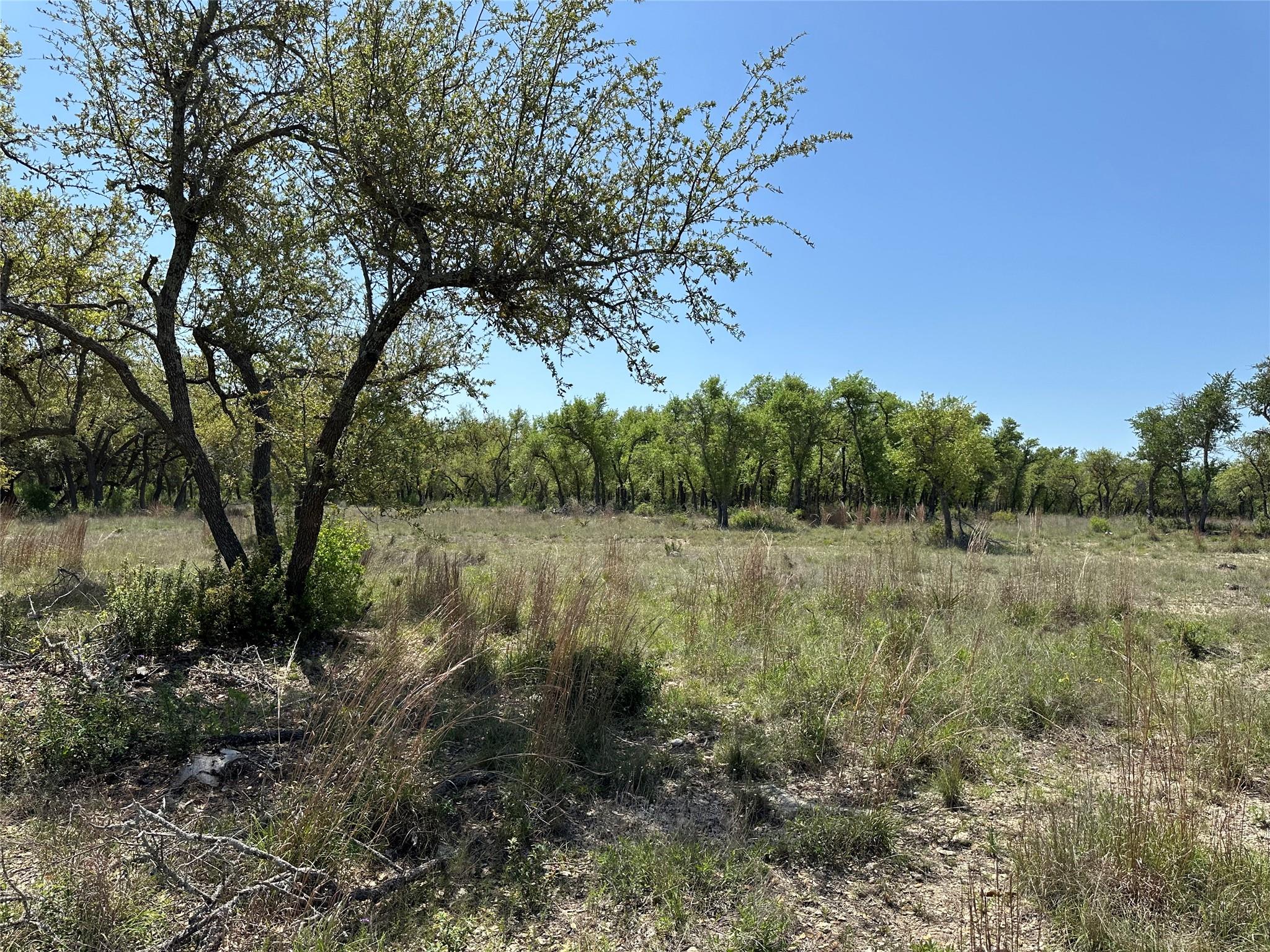Image 9 of 15 For Lot 106 Flying Owl Dr