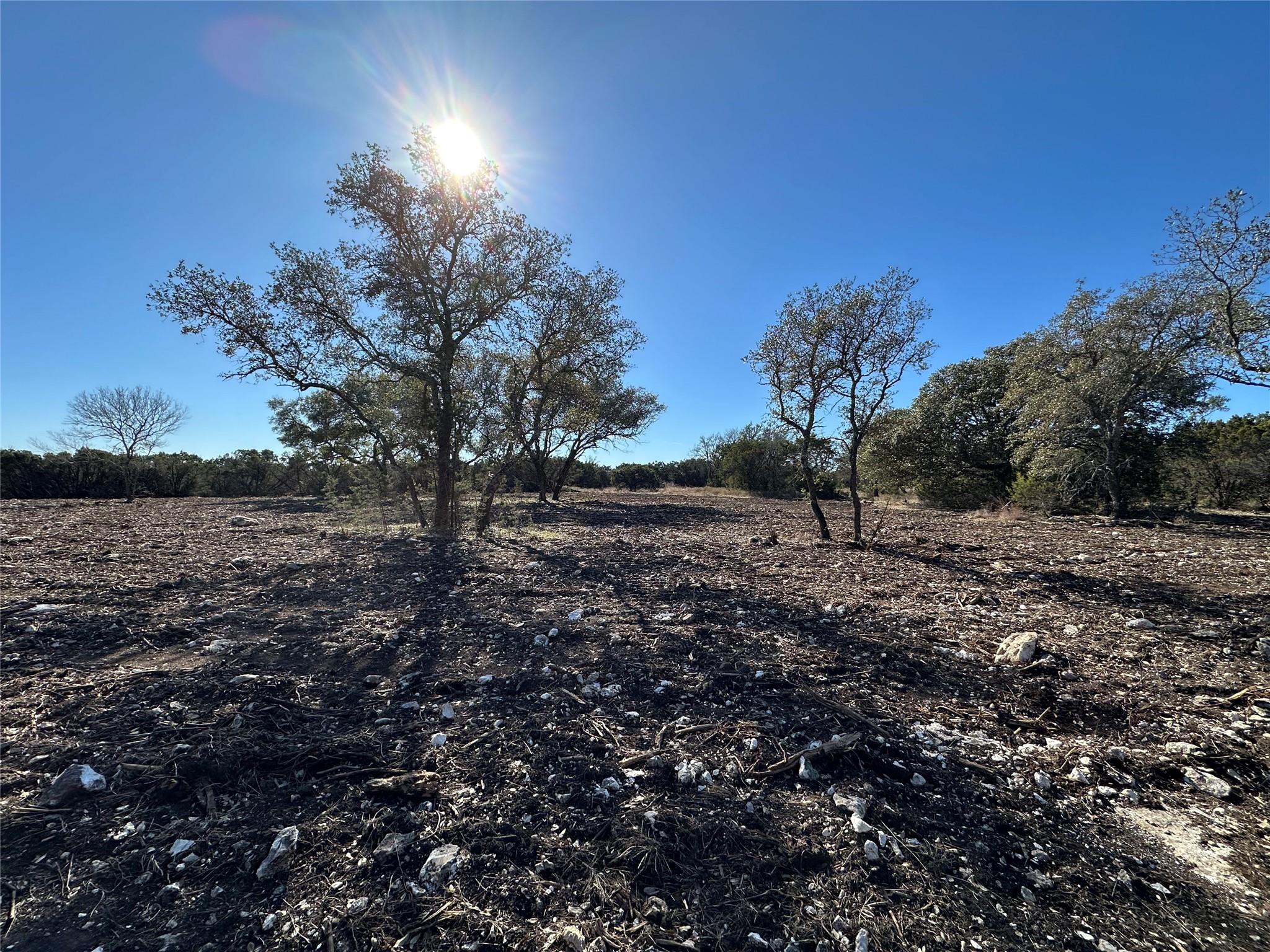 Image 11 of 18 For Tbd Fm 2955  