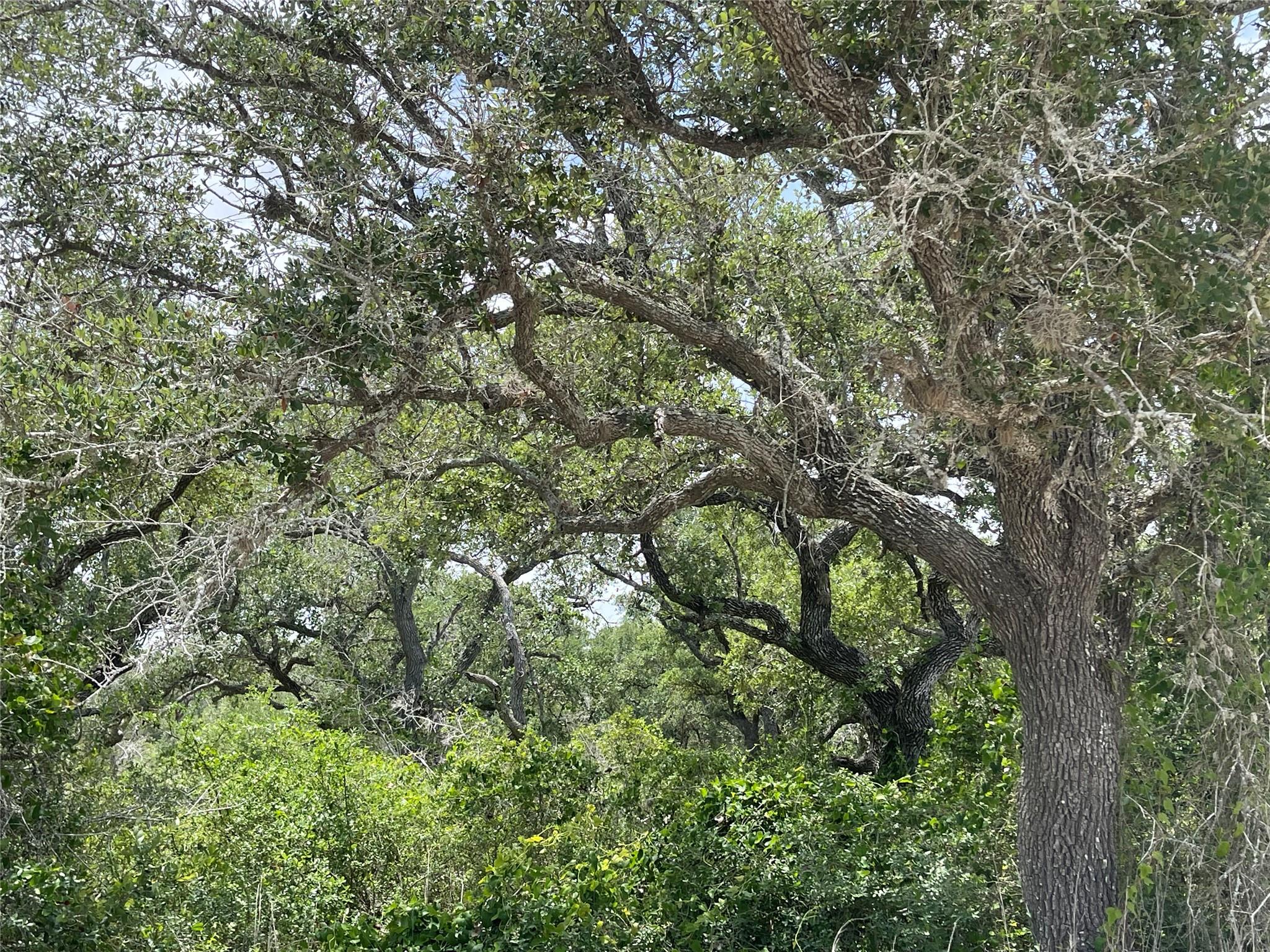 Image 10 of 11 For 342 Whispering Woods Dr