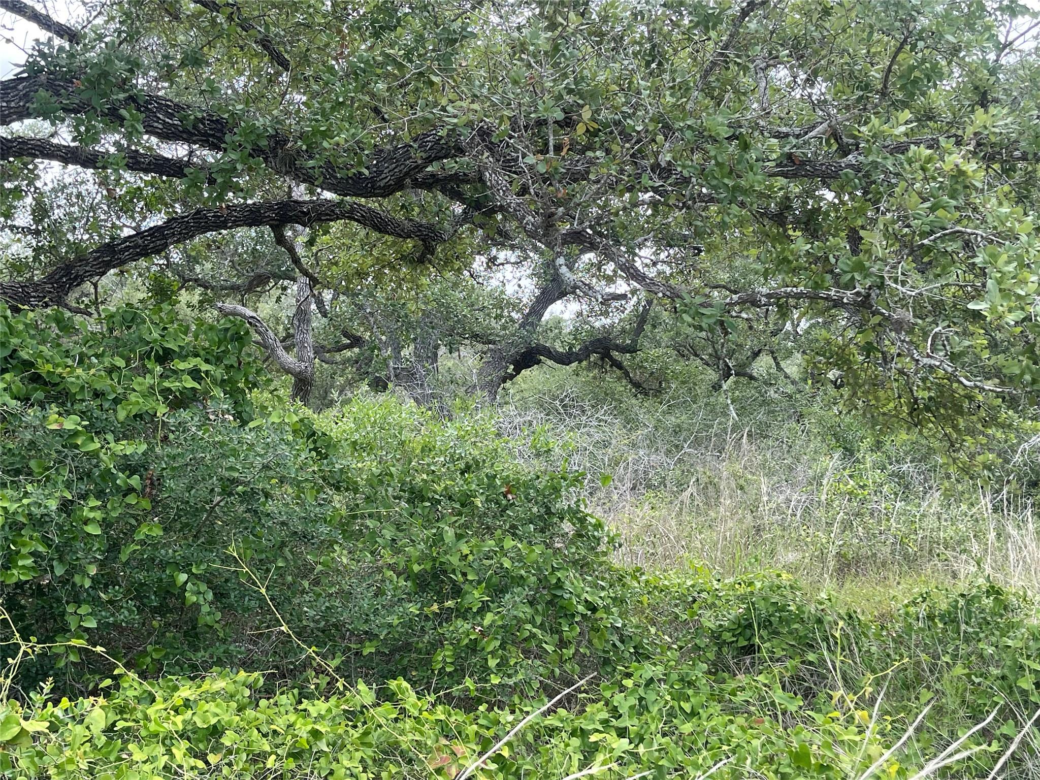 Image 11 of 11 For 342 Whispering Woods Dr