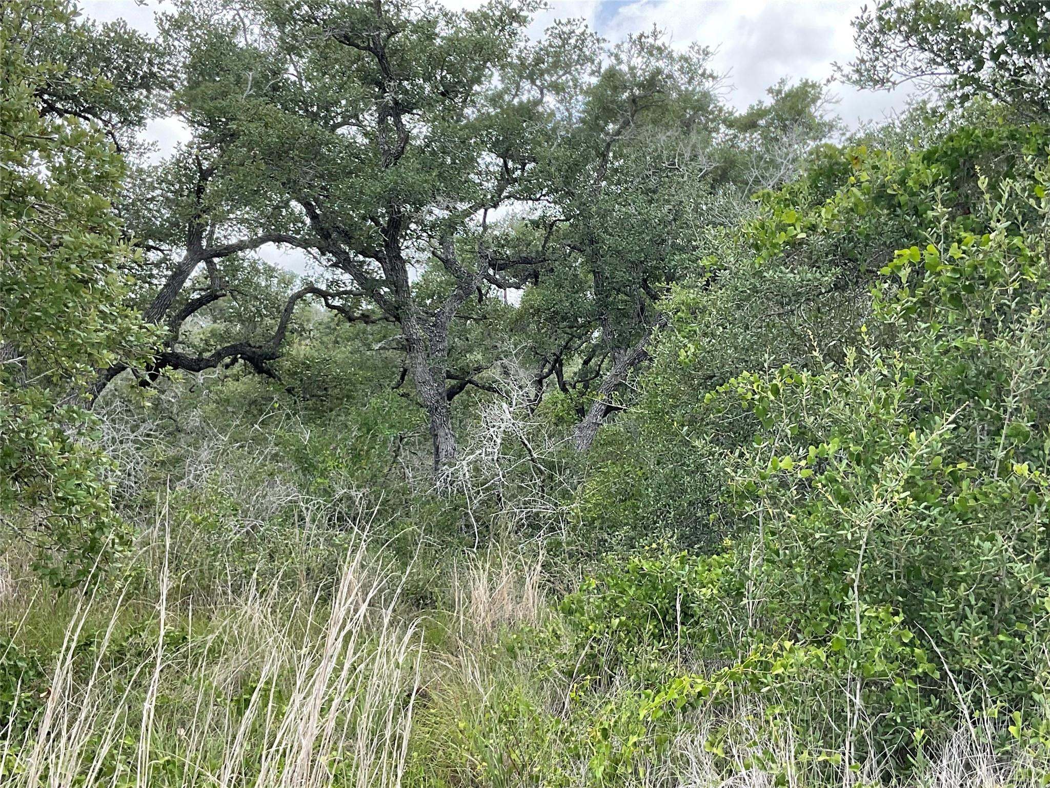 Image 2 of 11 For 342 Whispering Woods Dr