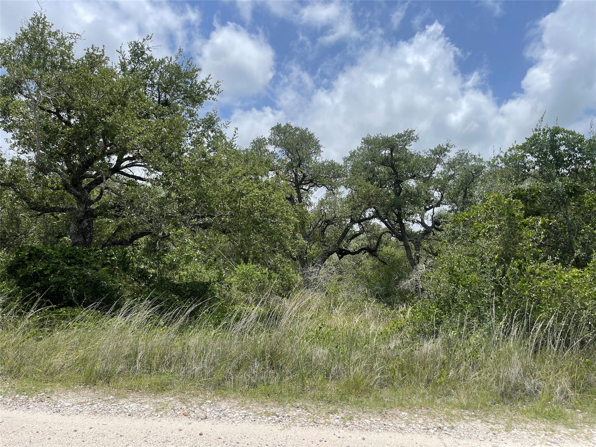 Image 5 of 11 For 342 Whispering Woods Dr