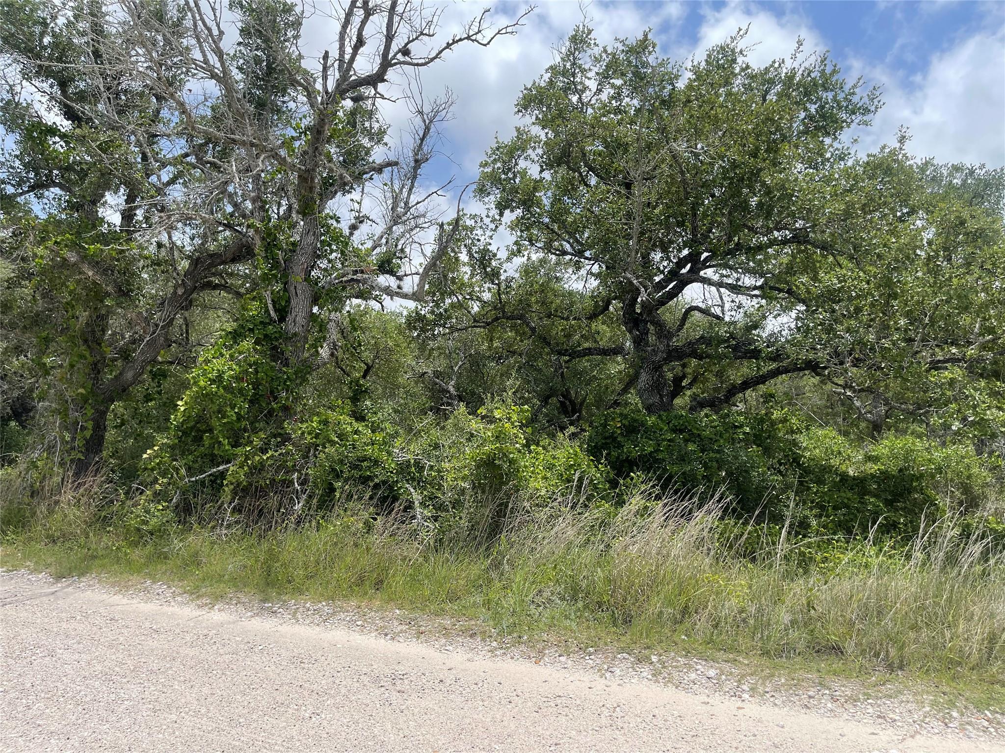 Image 6 of 11 For 342 Whispering Woods Dr