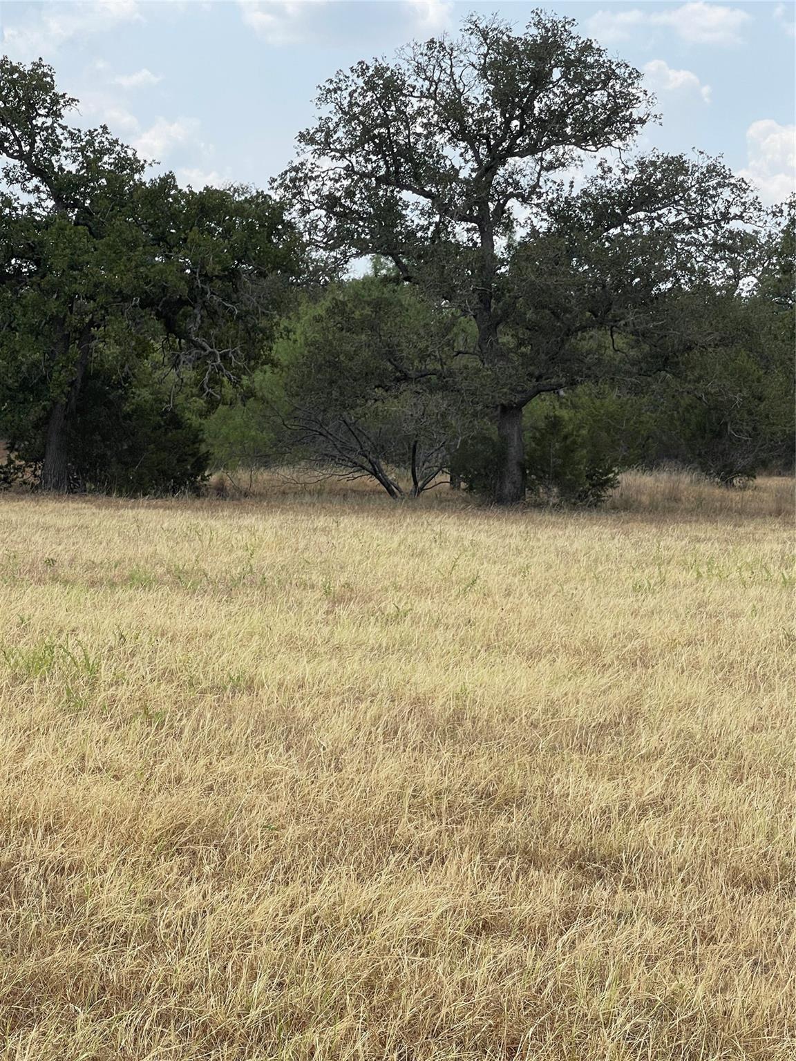 Image 3 of 7 For 504 Sandy School Rd