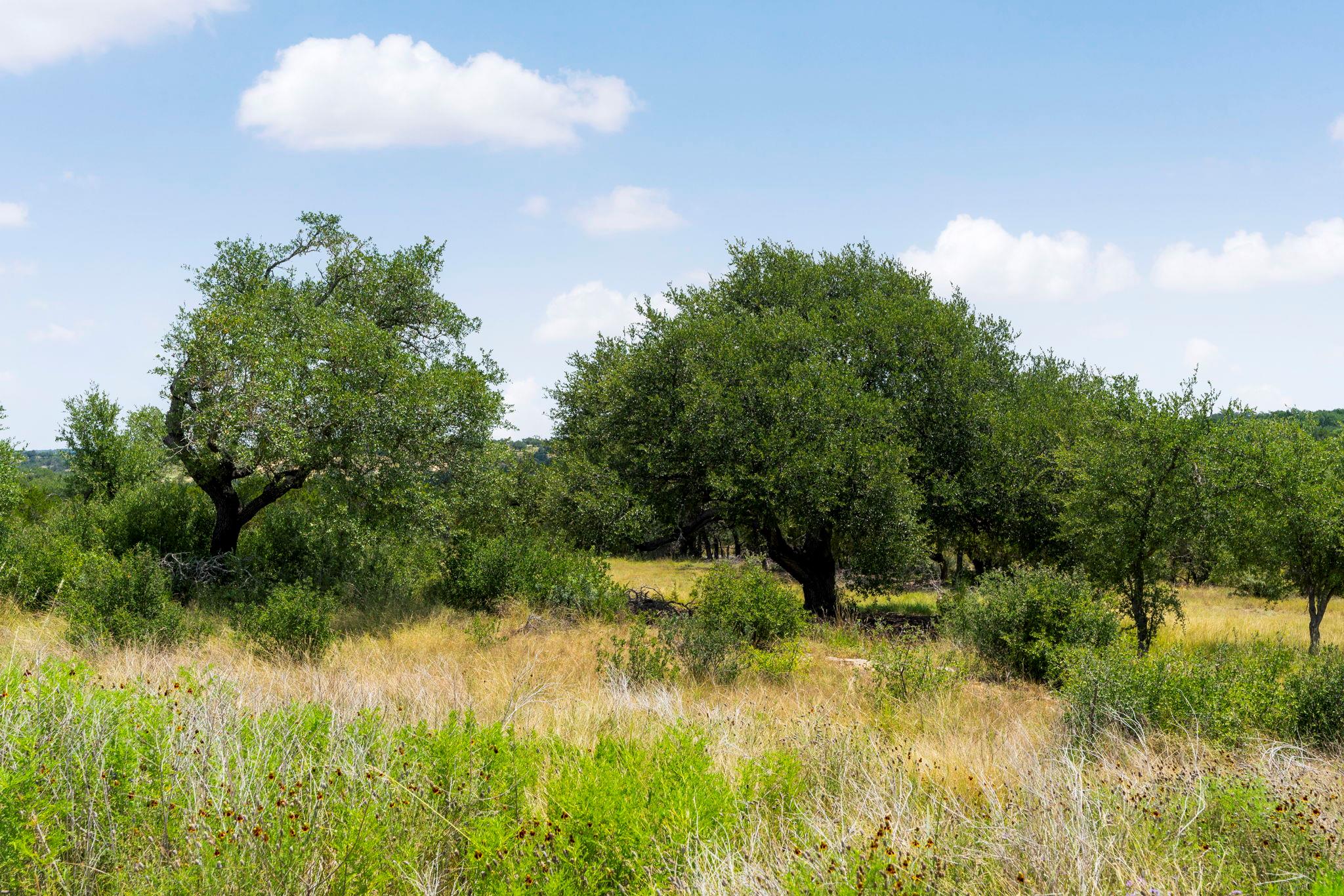 Image 13 of 20 For Lots 24,31,32 Prancing Deer Ln