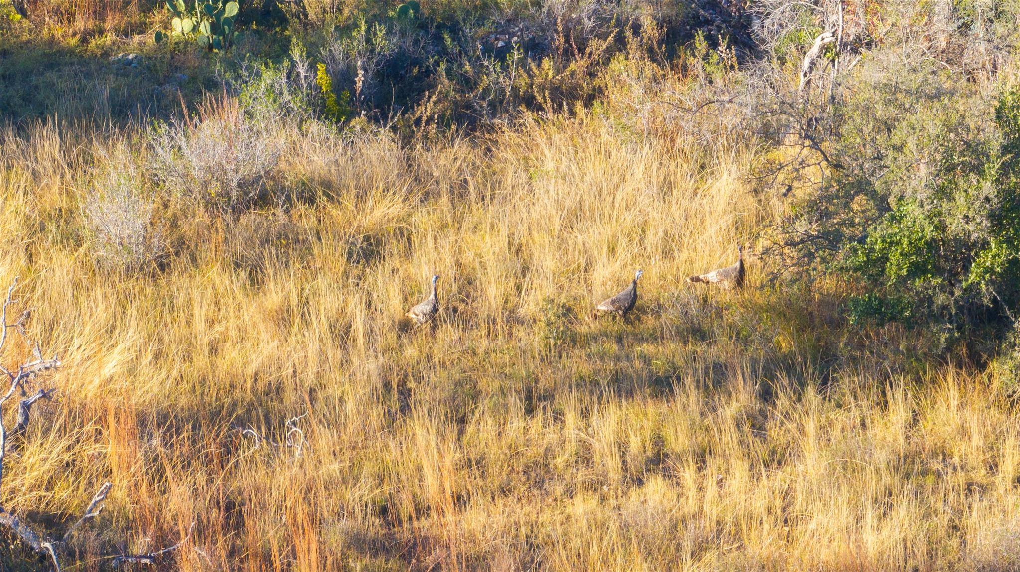 Image 16 of 33 For 358 Cornelius Rd