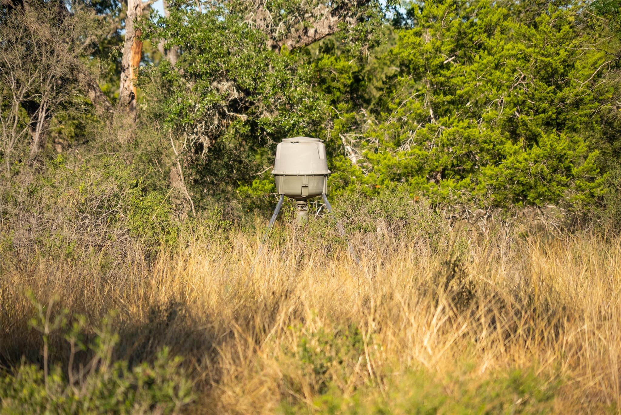 Image 17 of 33 For 358 Cornelius Rd