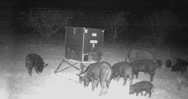 Image 10 of 12 For 408 Miltex Rd