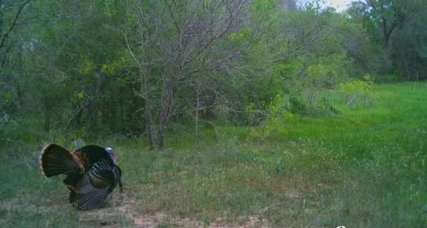 Image 12 of 12 For 408 Miltex Rd