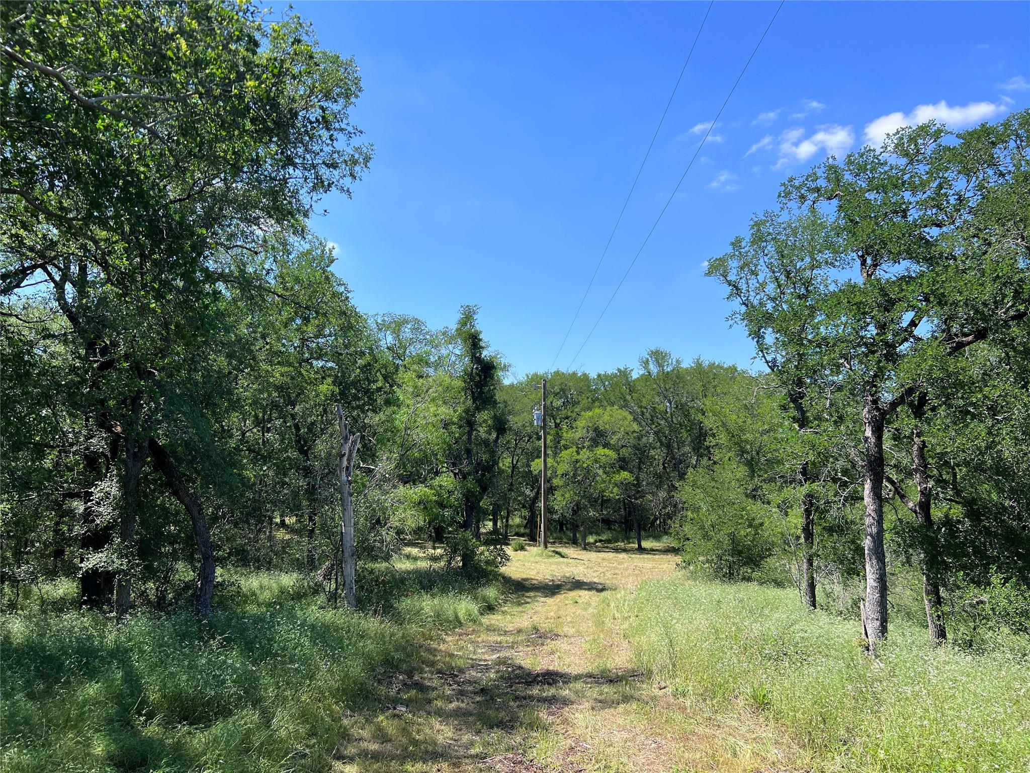 Image 5 of 12 For 408 Miltex Rd