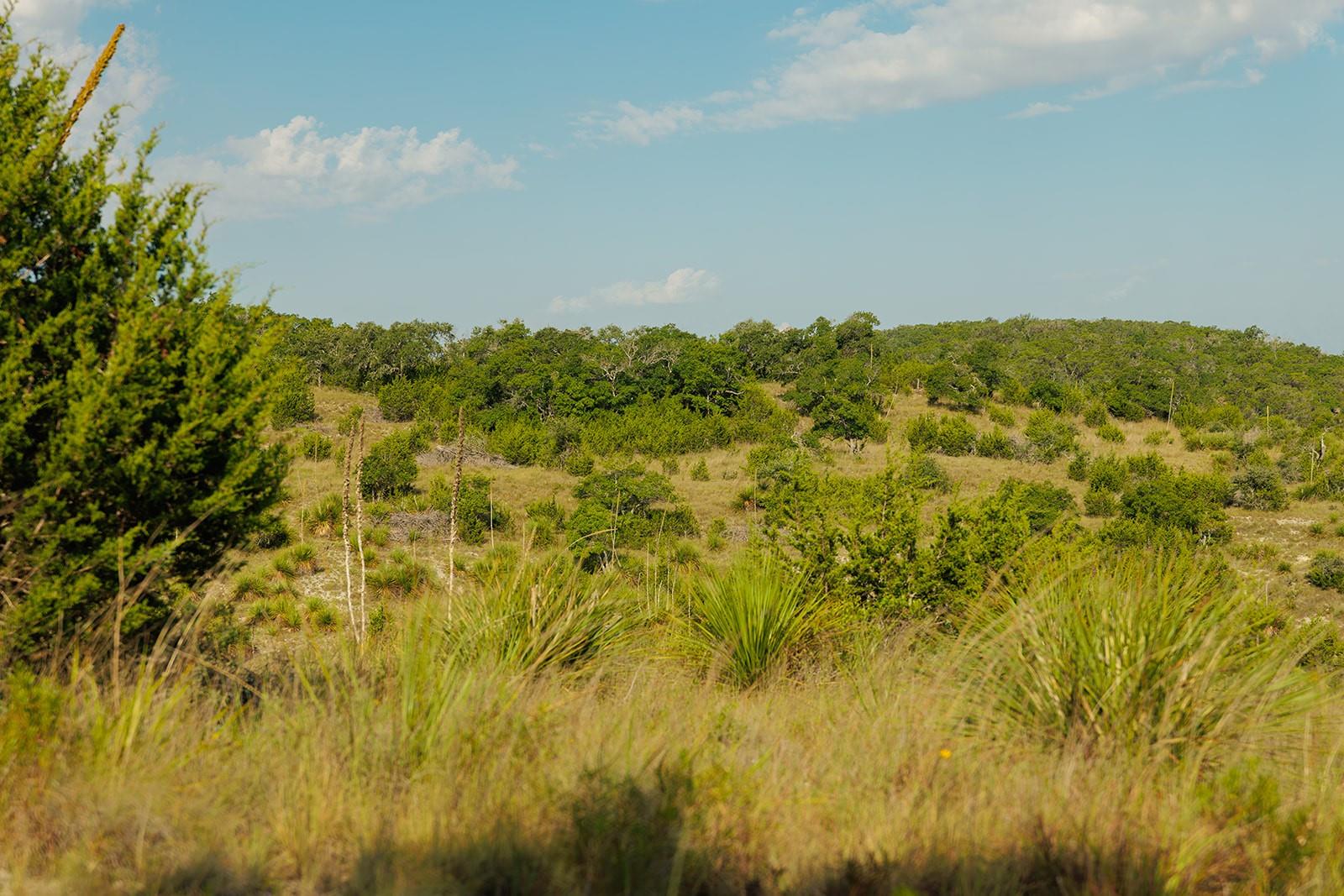 Image 10 of 31 For 3067 Ranch Road 1888