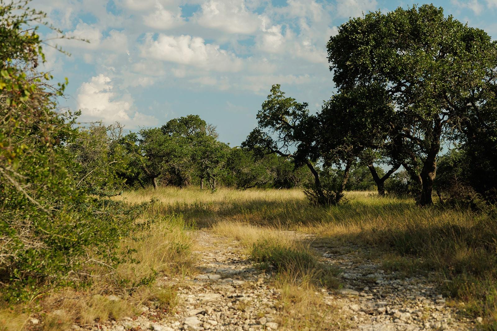 Image 11 of 31 For 3067 Ranch Road 1888