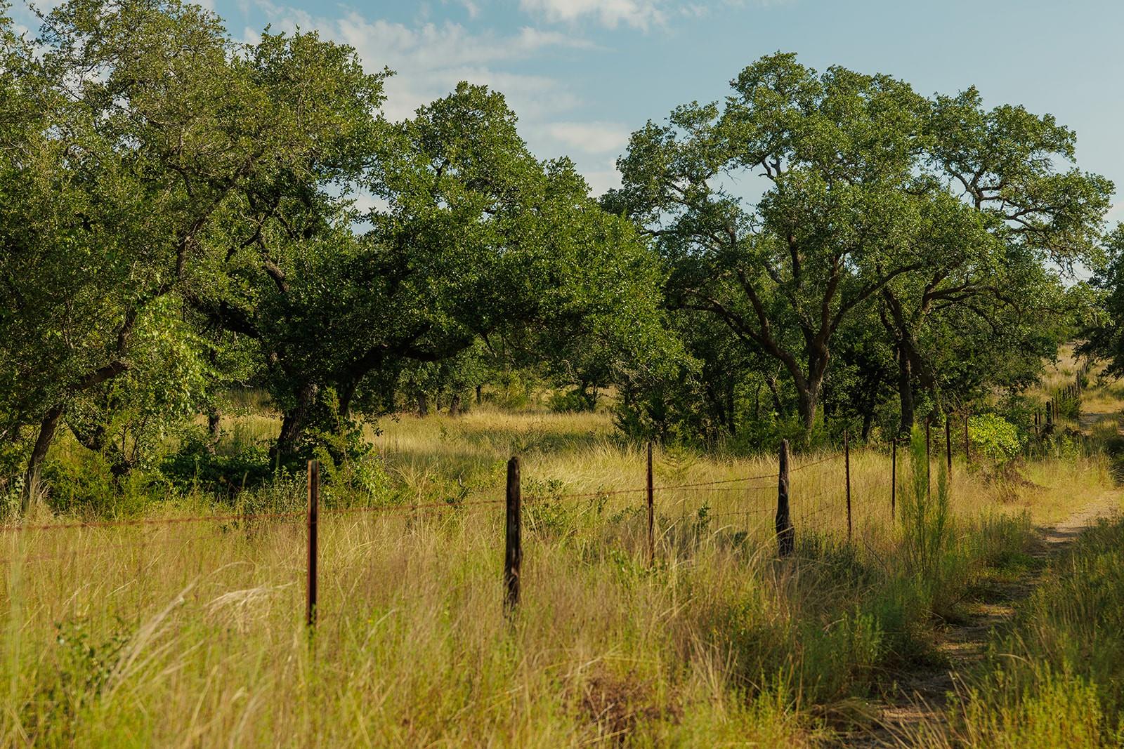 Image 13 of 31 For 3067 Ranch Road 1888