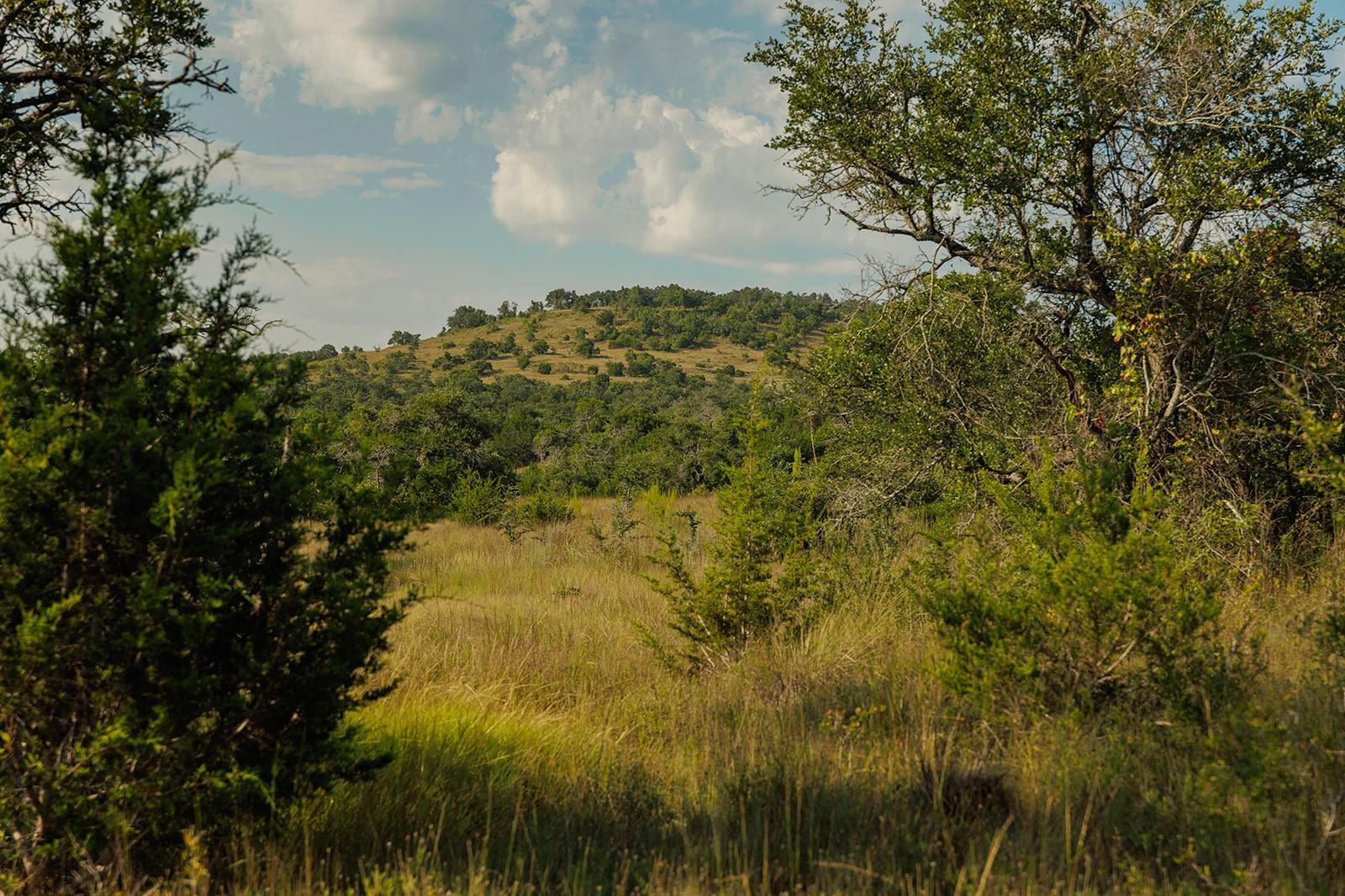 Image 14 of 31 For 3067 Ranch Road 1888