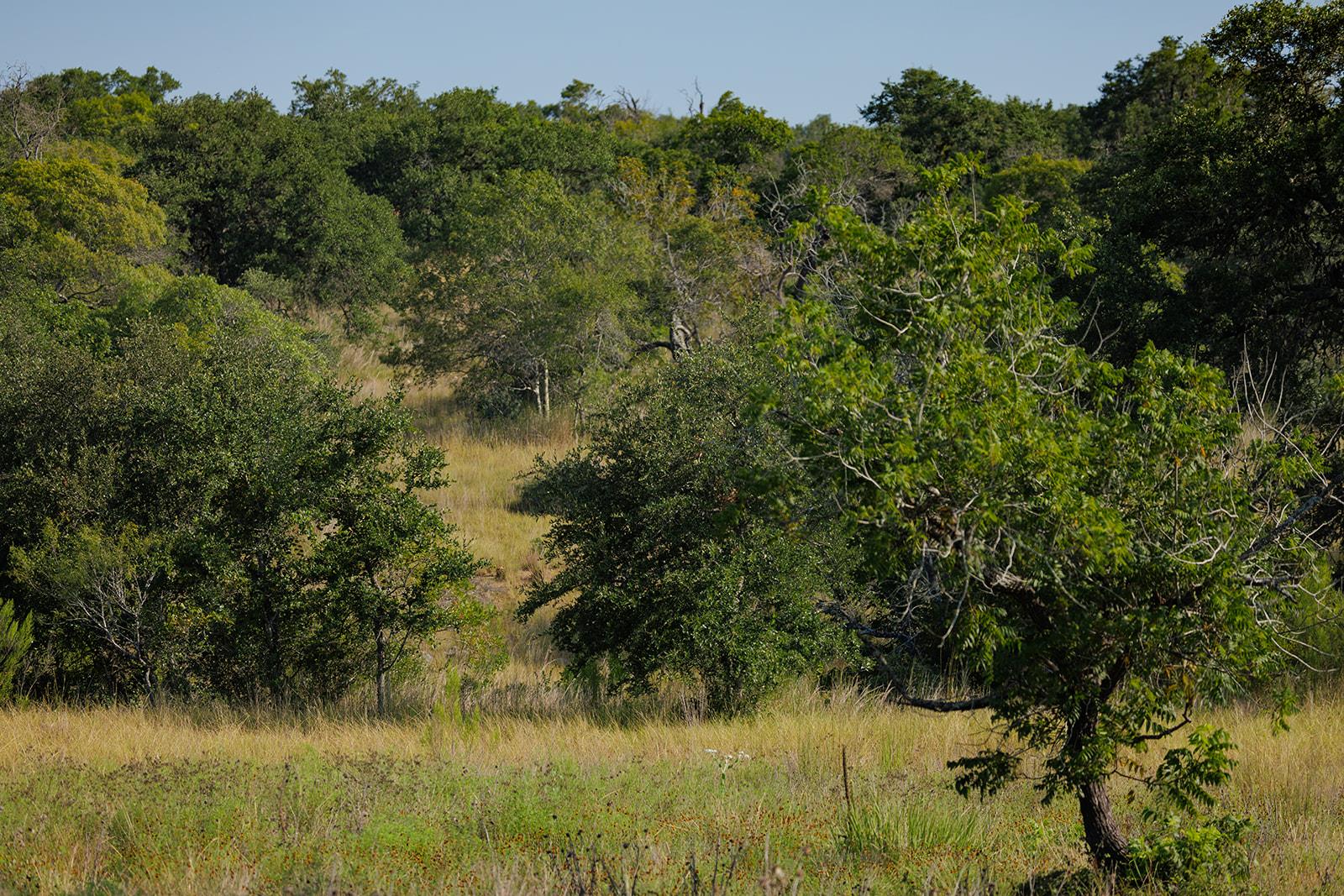 Image 16 of 31 For 3067 Ranch Road 1888