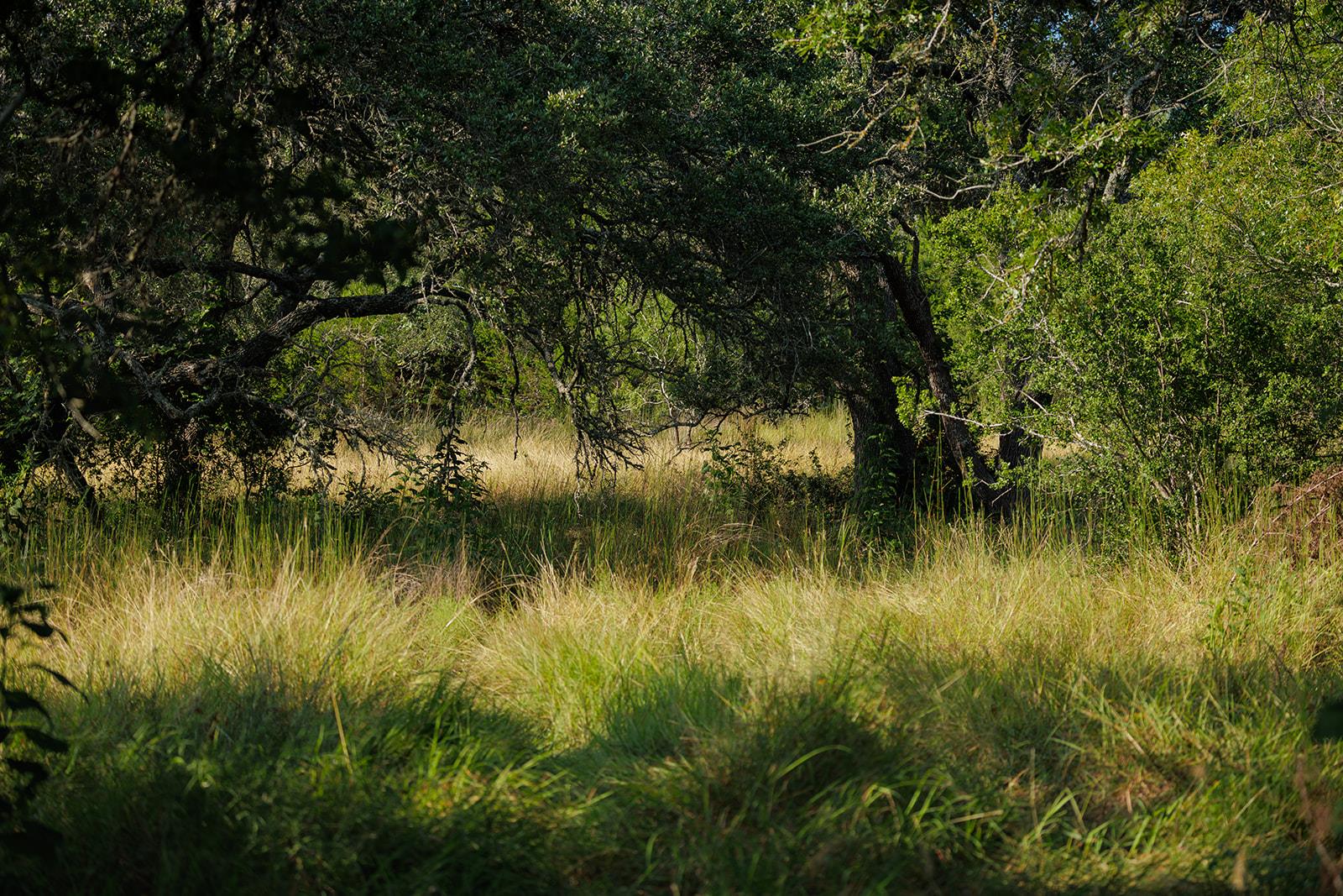 Image 18 of 31 For 3067 Ranch Road 1888