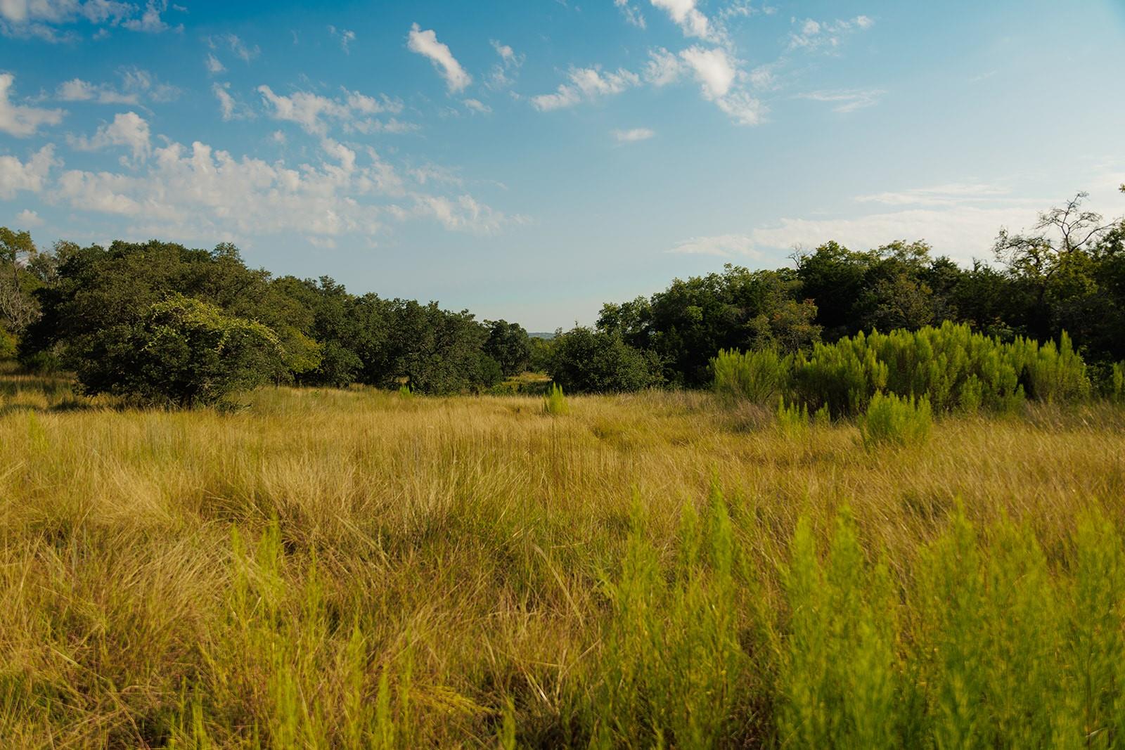 Image 19 of 31 For 3067 Ranch Road 1888