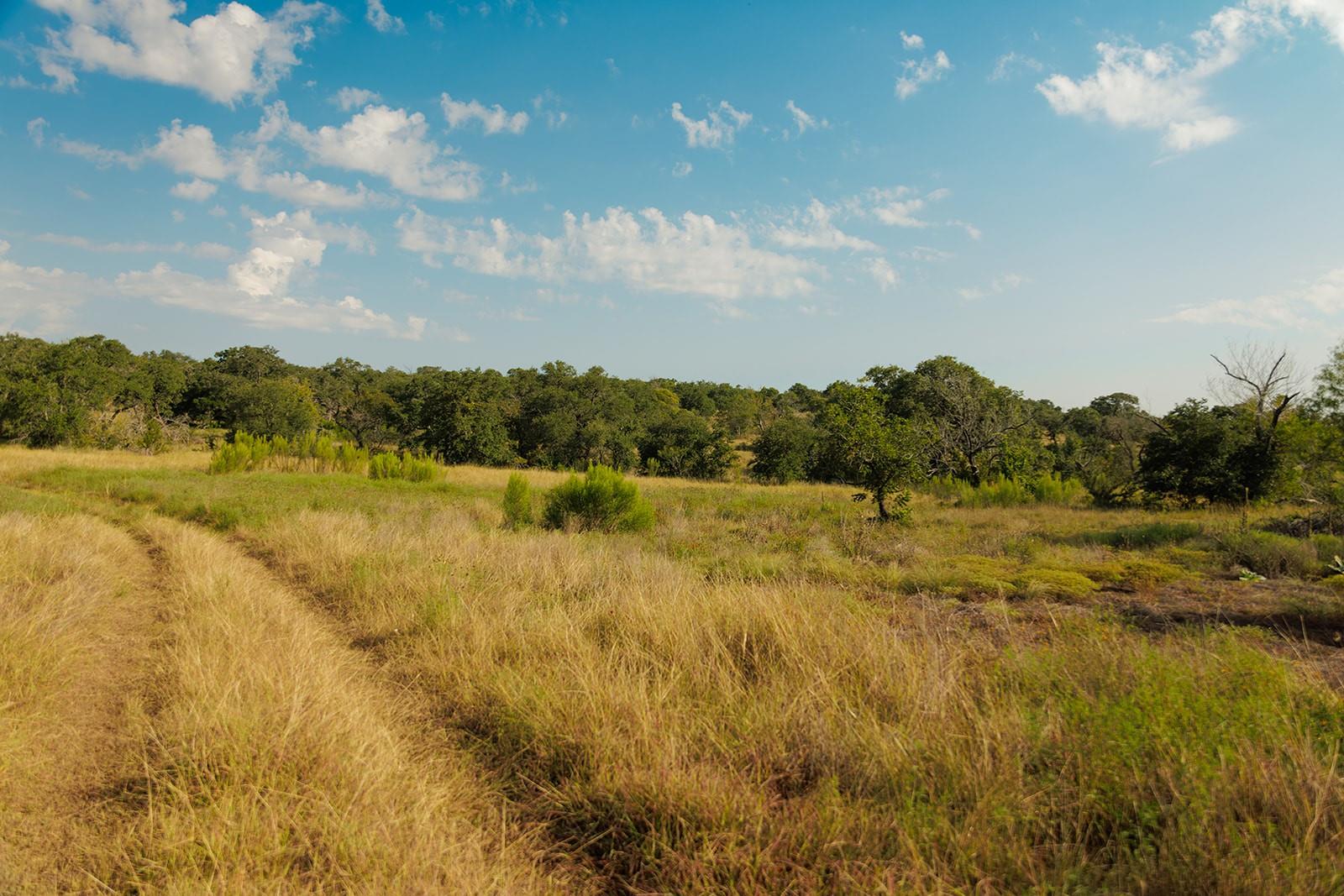 Image 20 of 31 For 3067 Ranch Road 1888