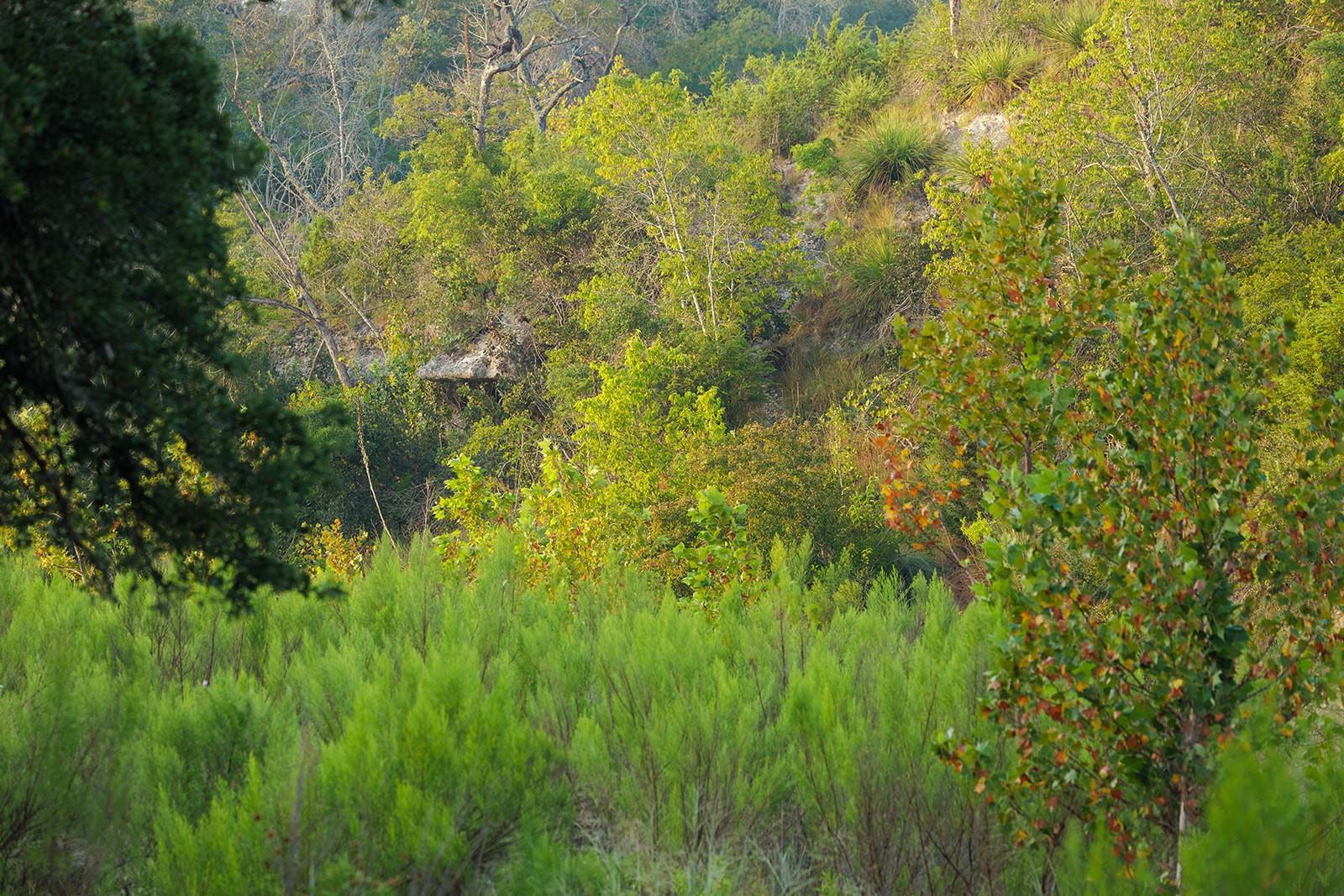 Image 7 of 31 For 3067 Ranch Road 1888