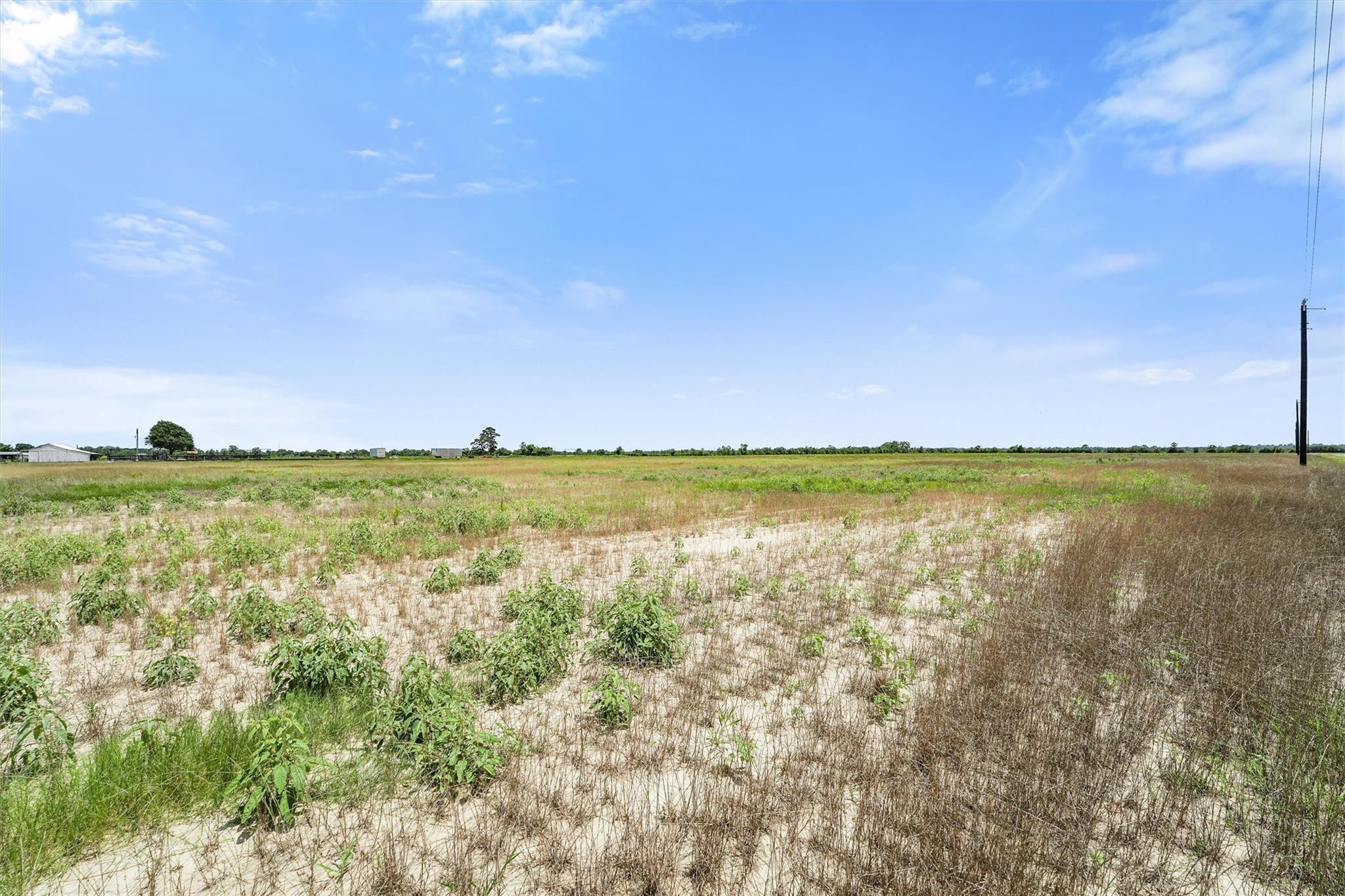 Details for 1319 Saddleback Dr, Bellville, TX 77418