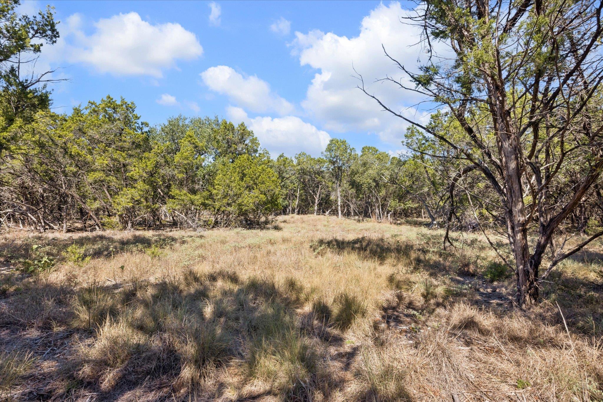 Image 8 of 11 For 2224 Misty Holw