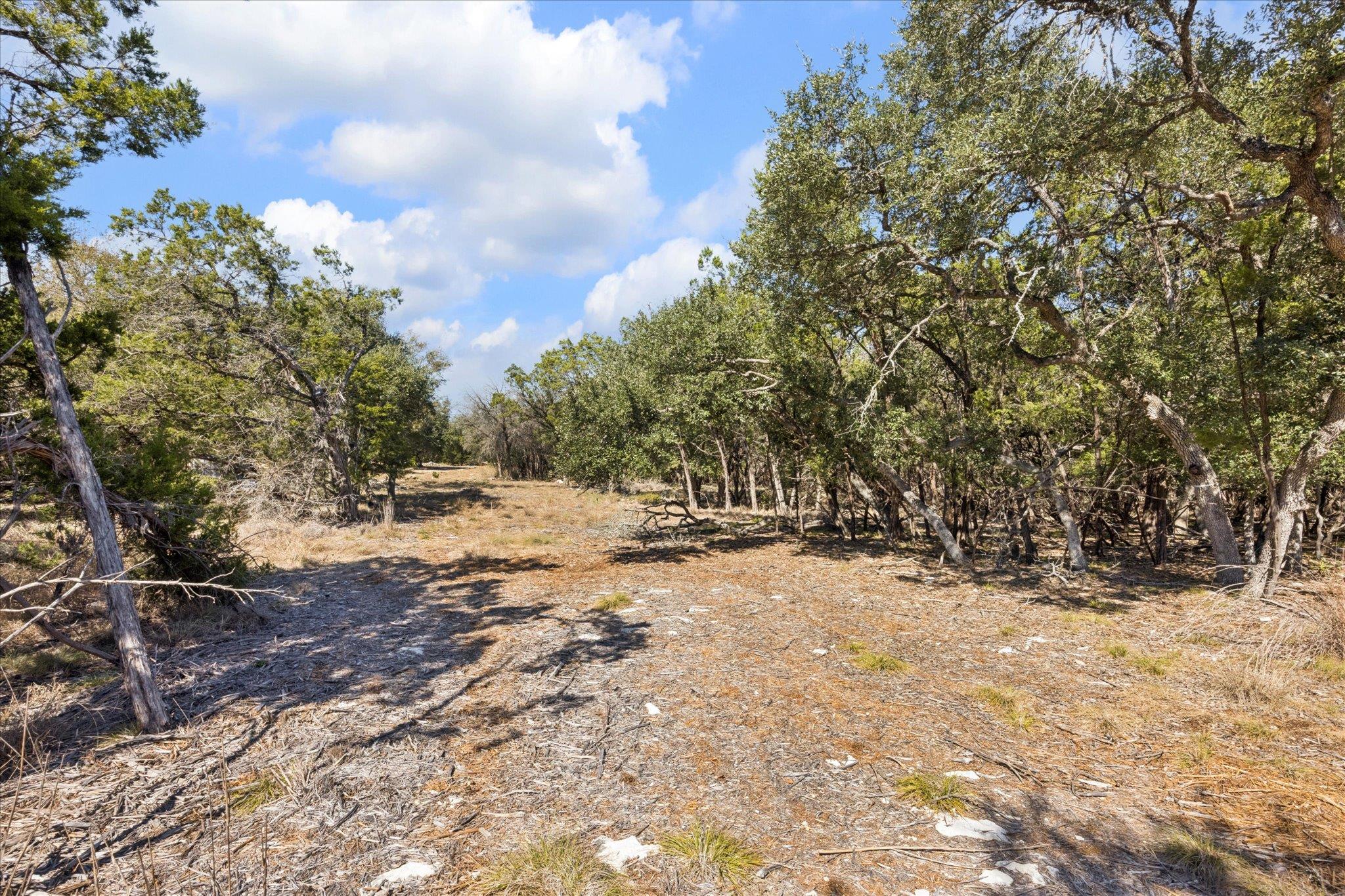 Image 9 of 11 For 2224 Misty Holw